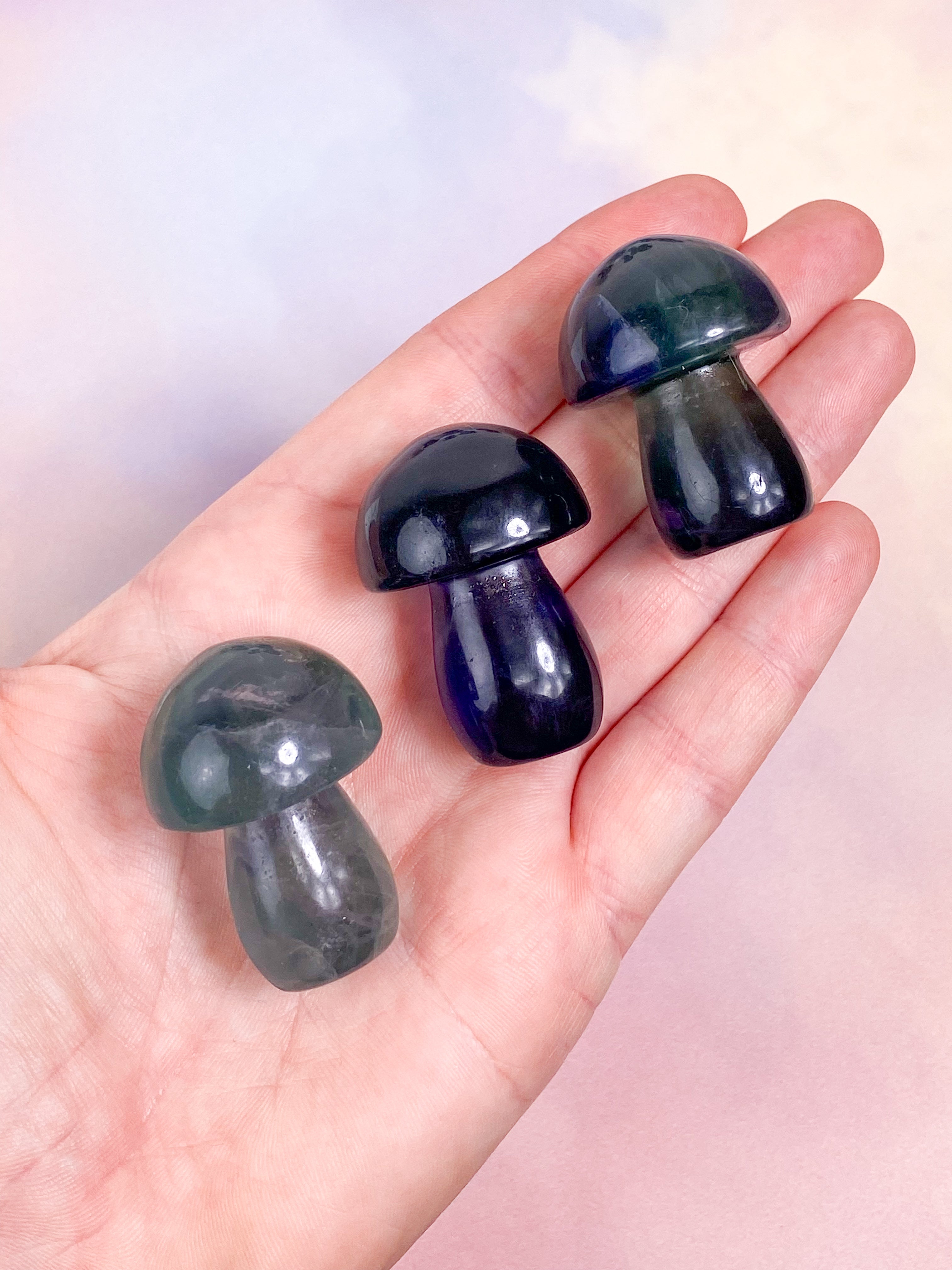 Regnbågsfluoritsvamp