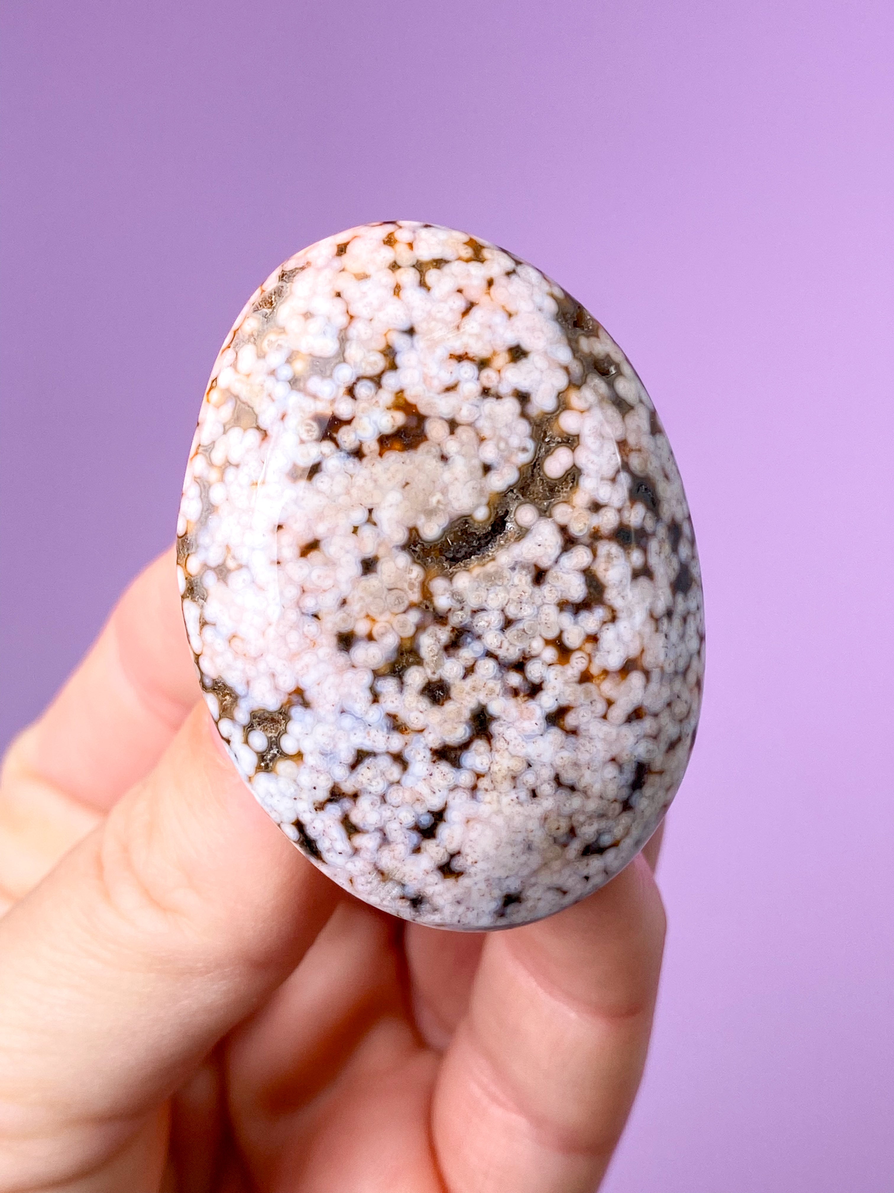 Ocean Jasper Svamp (nr 8)