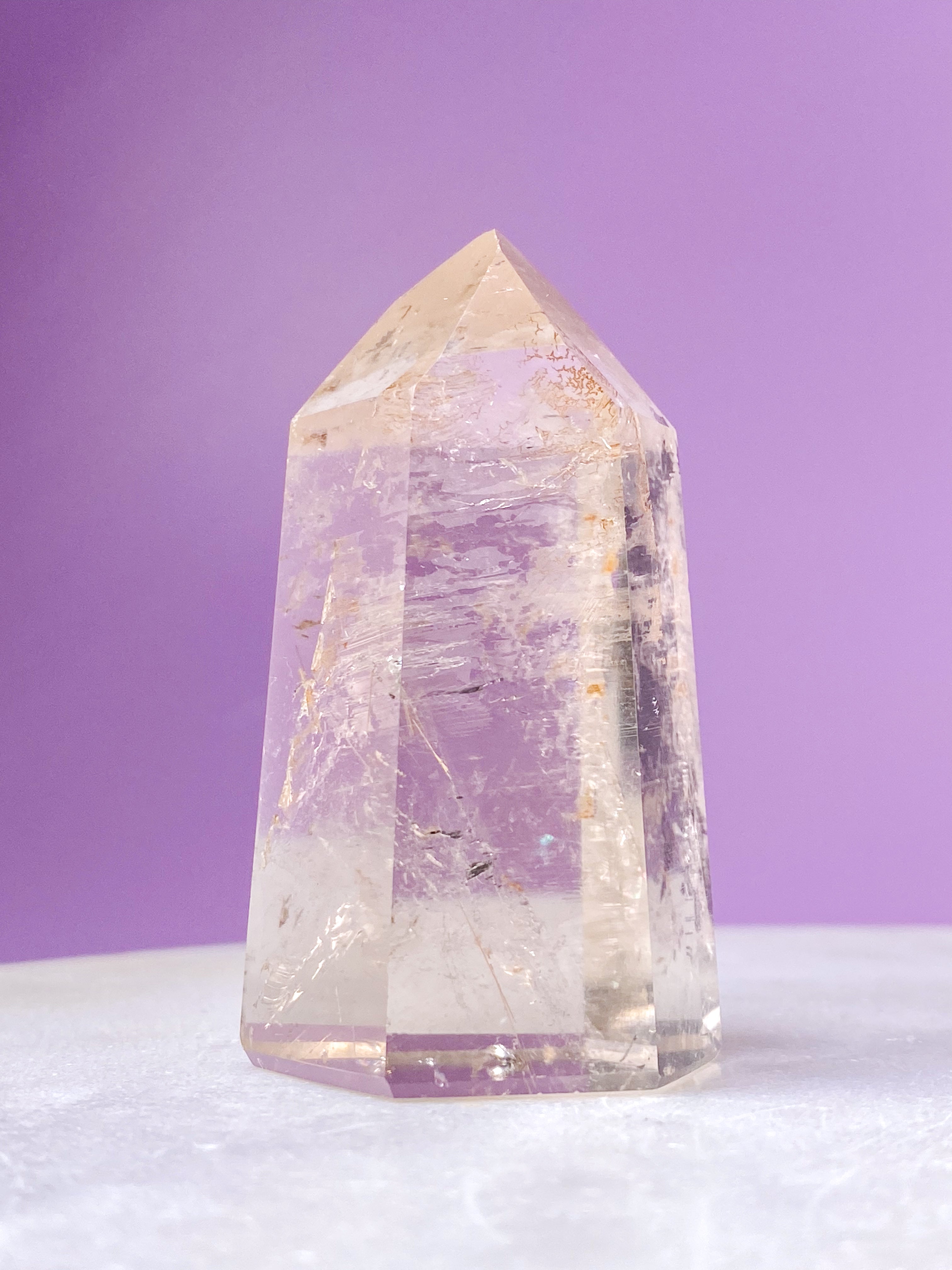 Citrintorn (nr 1) Exklusiv kvalitet