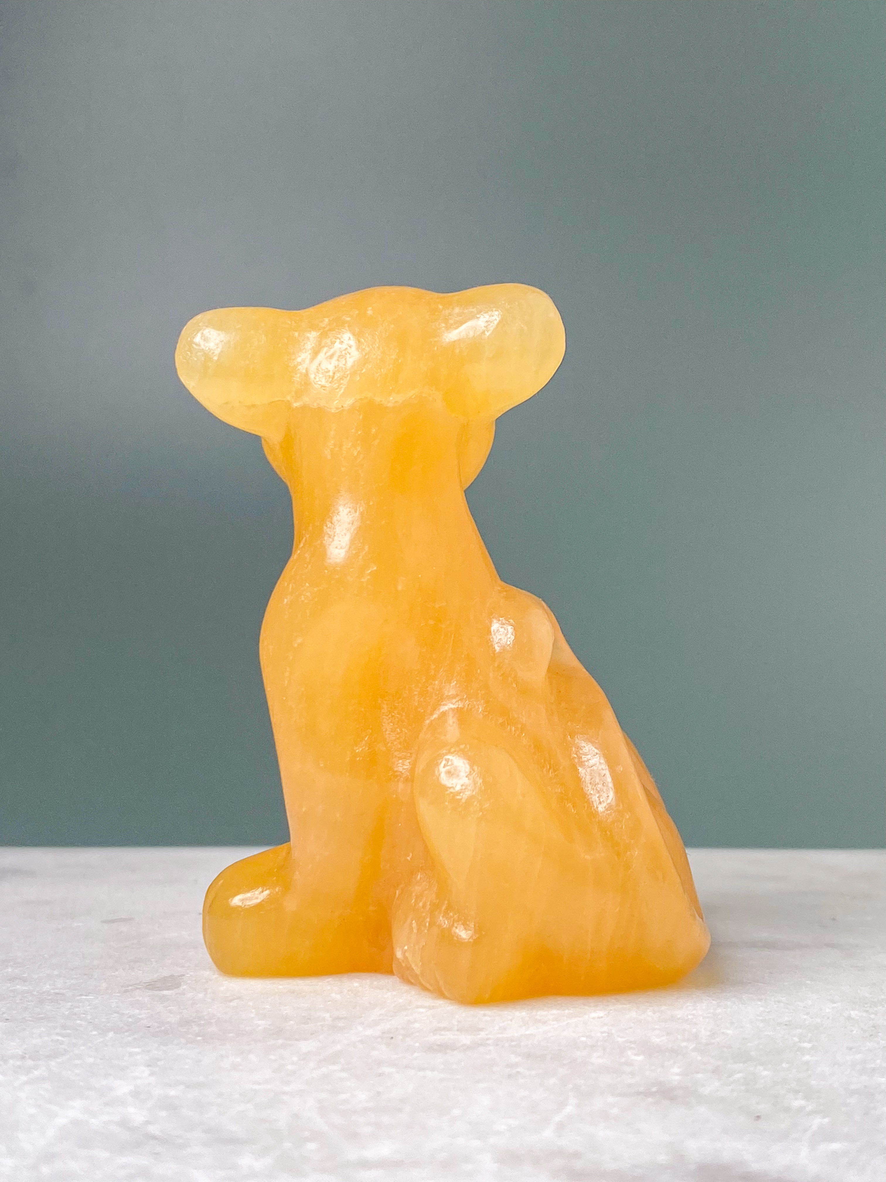 Orange kalcitpumpa med band