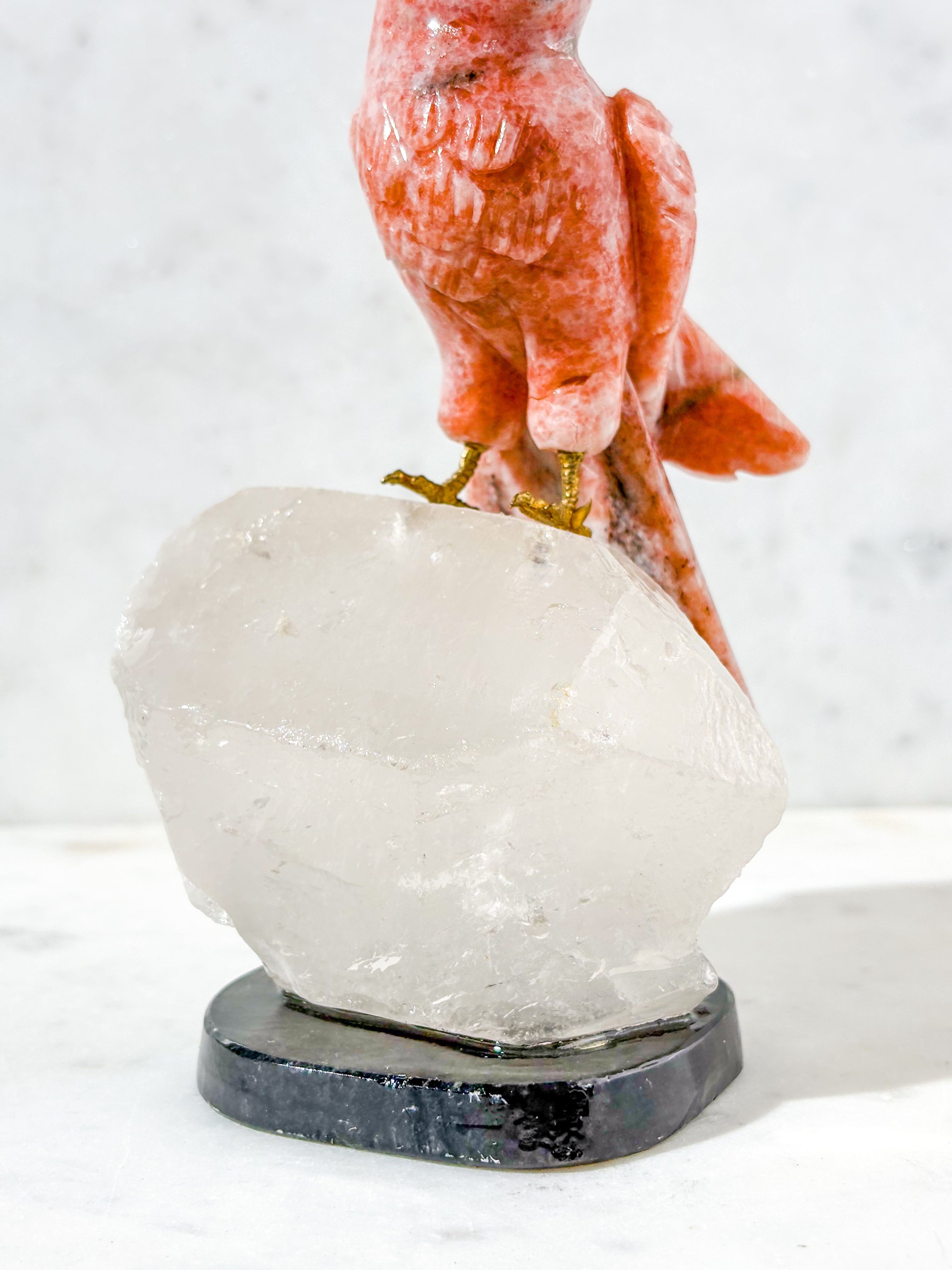 Papegøje Krystal Skulptur (Nr. 3)