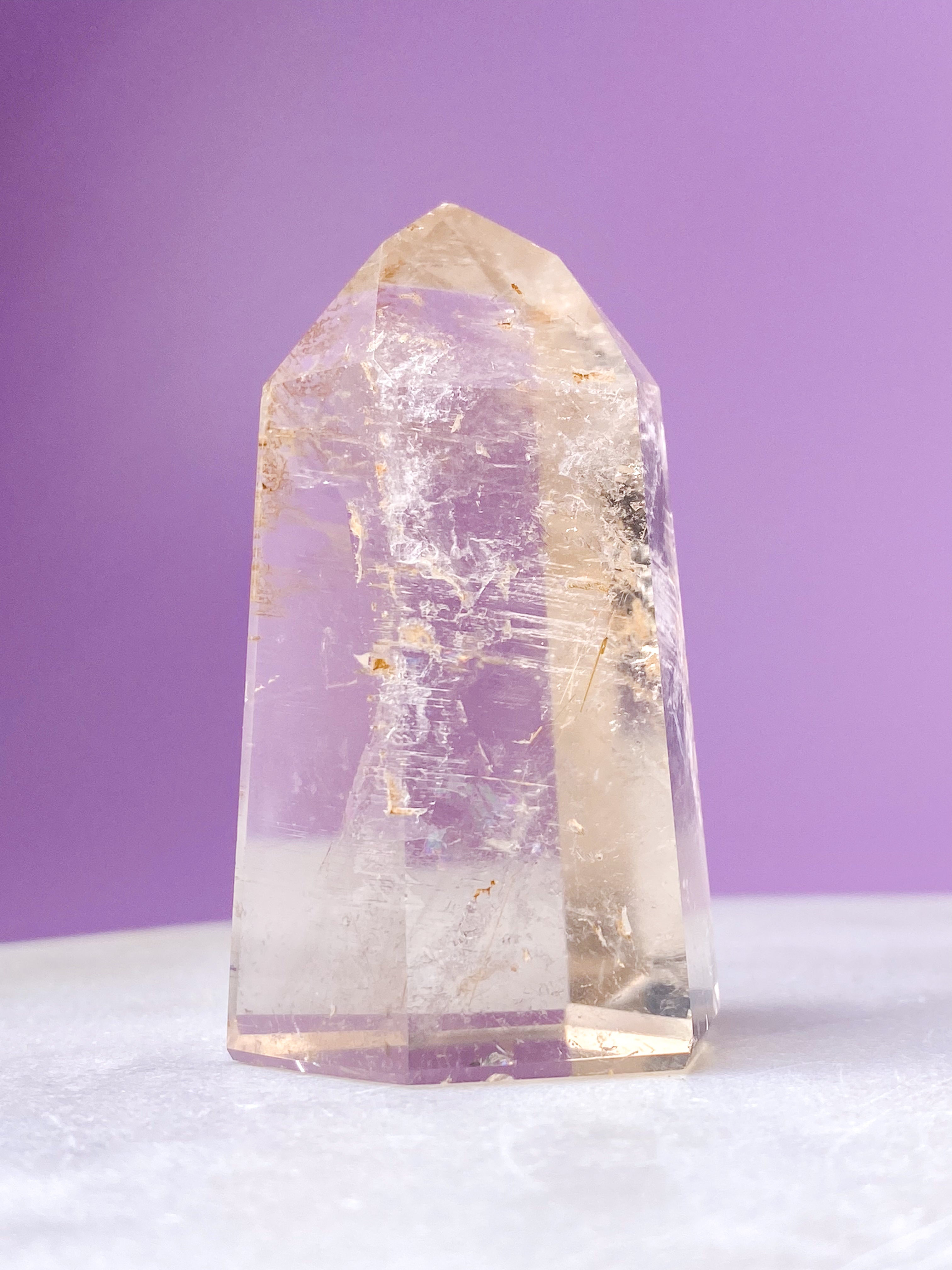 Citrintorn (nr 1) Exklusiv kvalitet