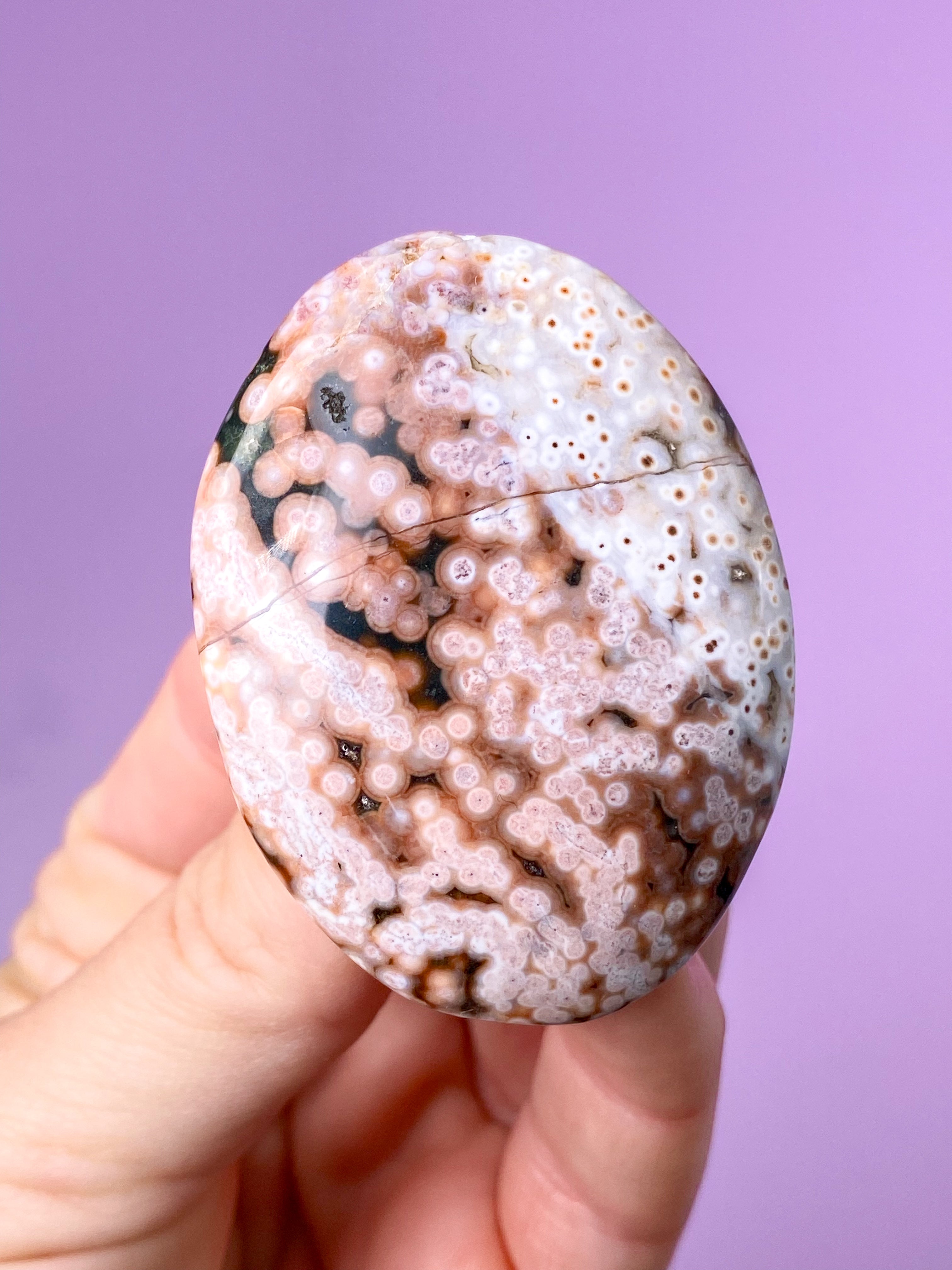 Ocean Jasper Svamp (nr 8)