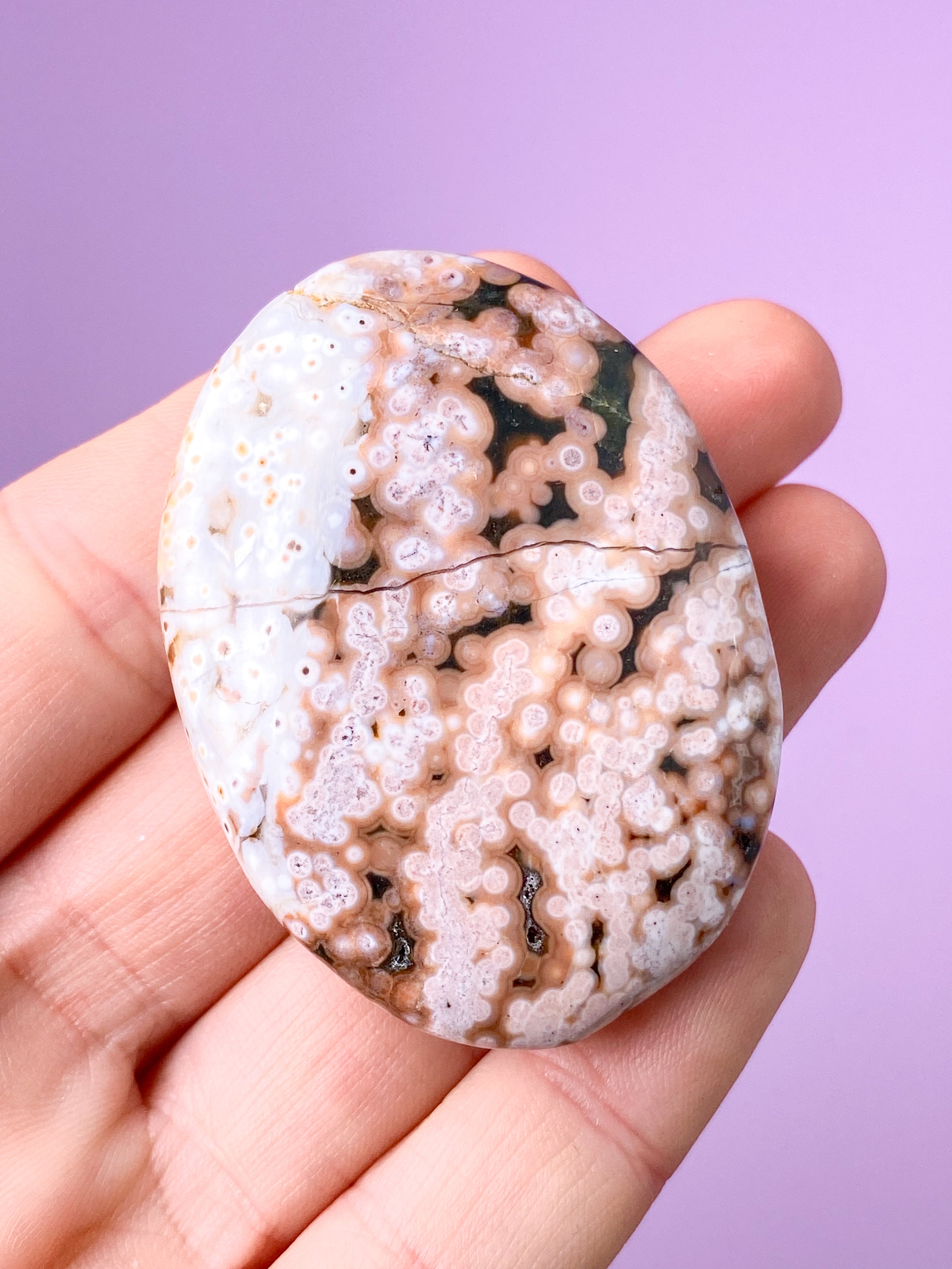 Ocean Jasper Svamp (nr 8)