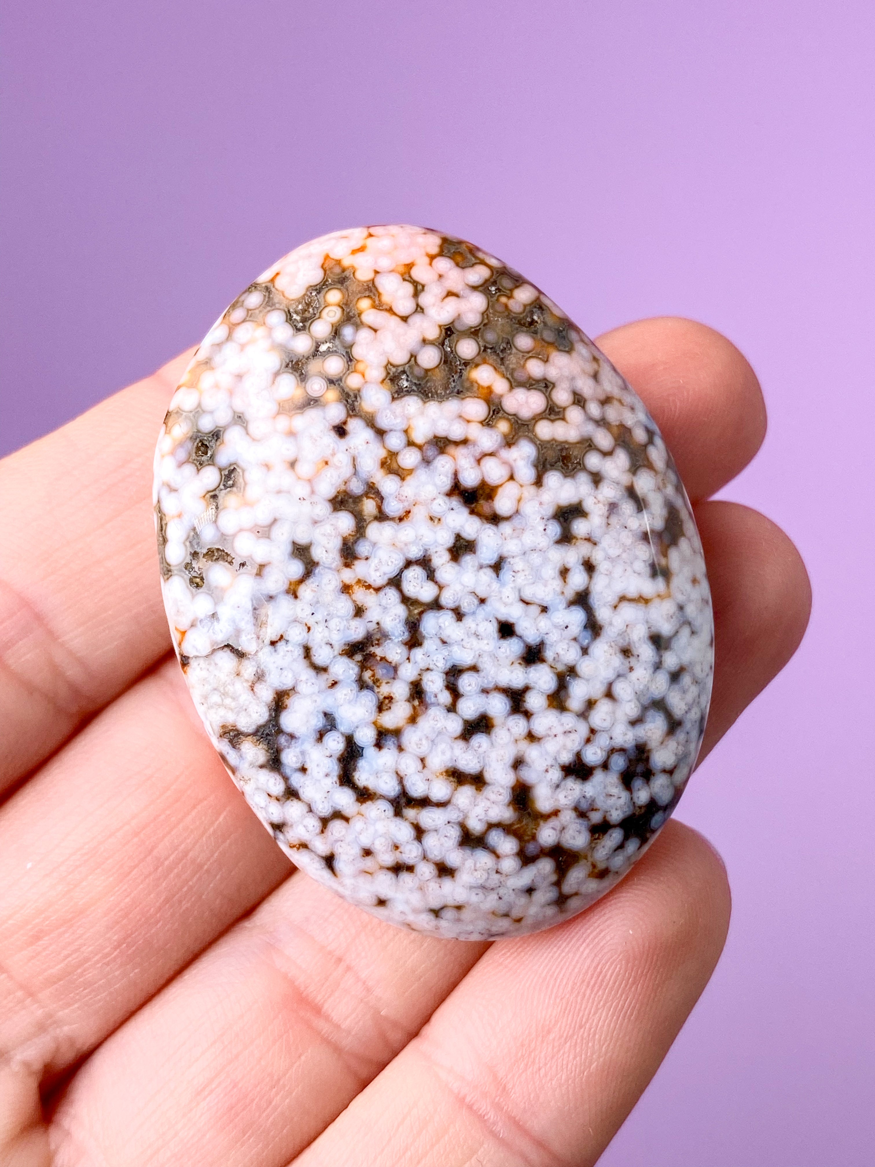 Ocean Jasper Svamp (nr 8)