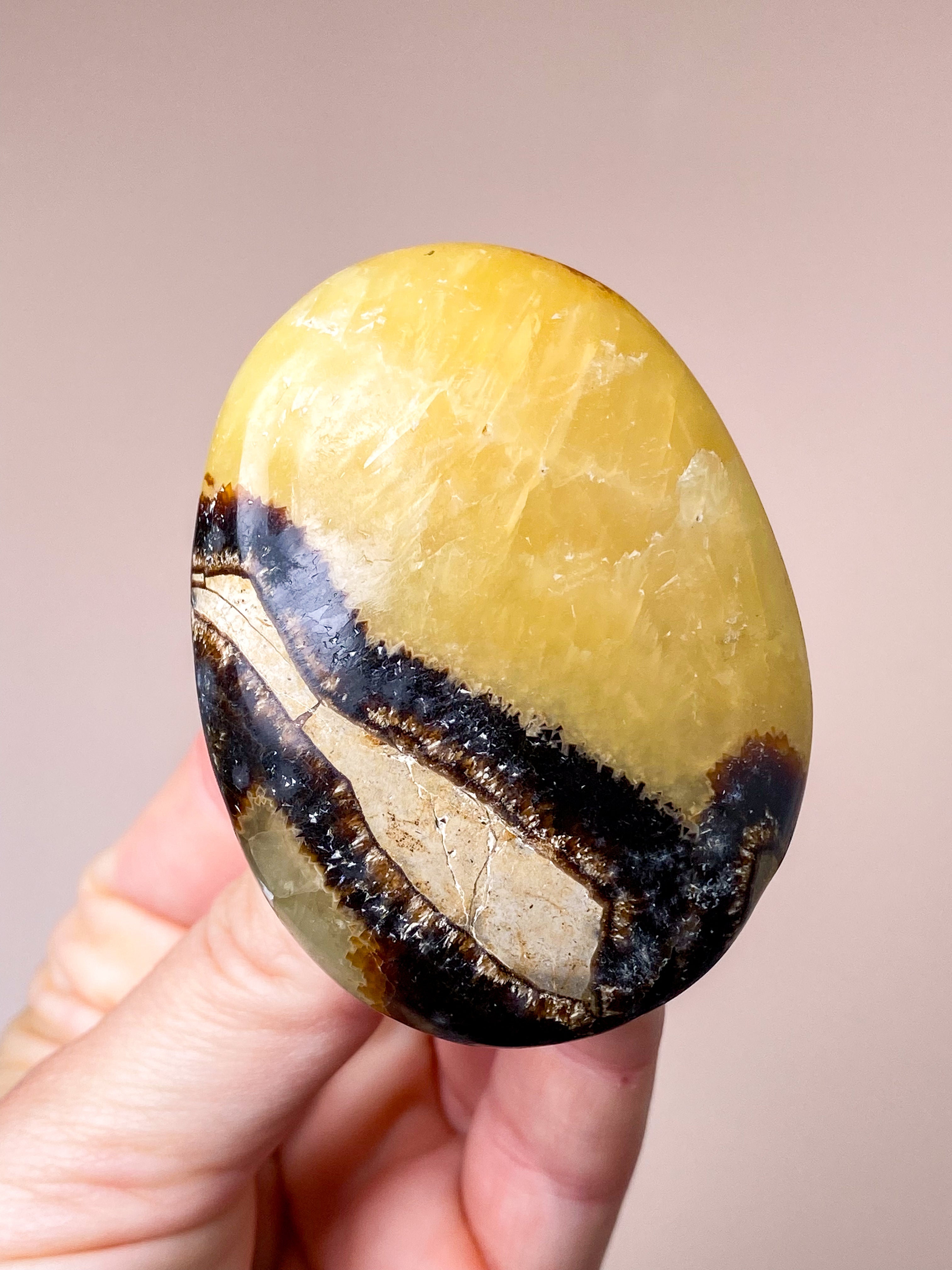 Septarie Palmstone (nr 1)