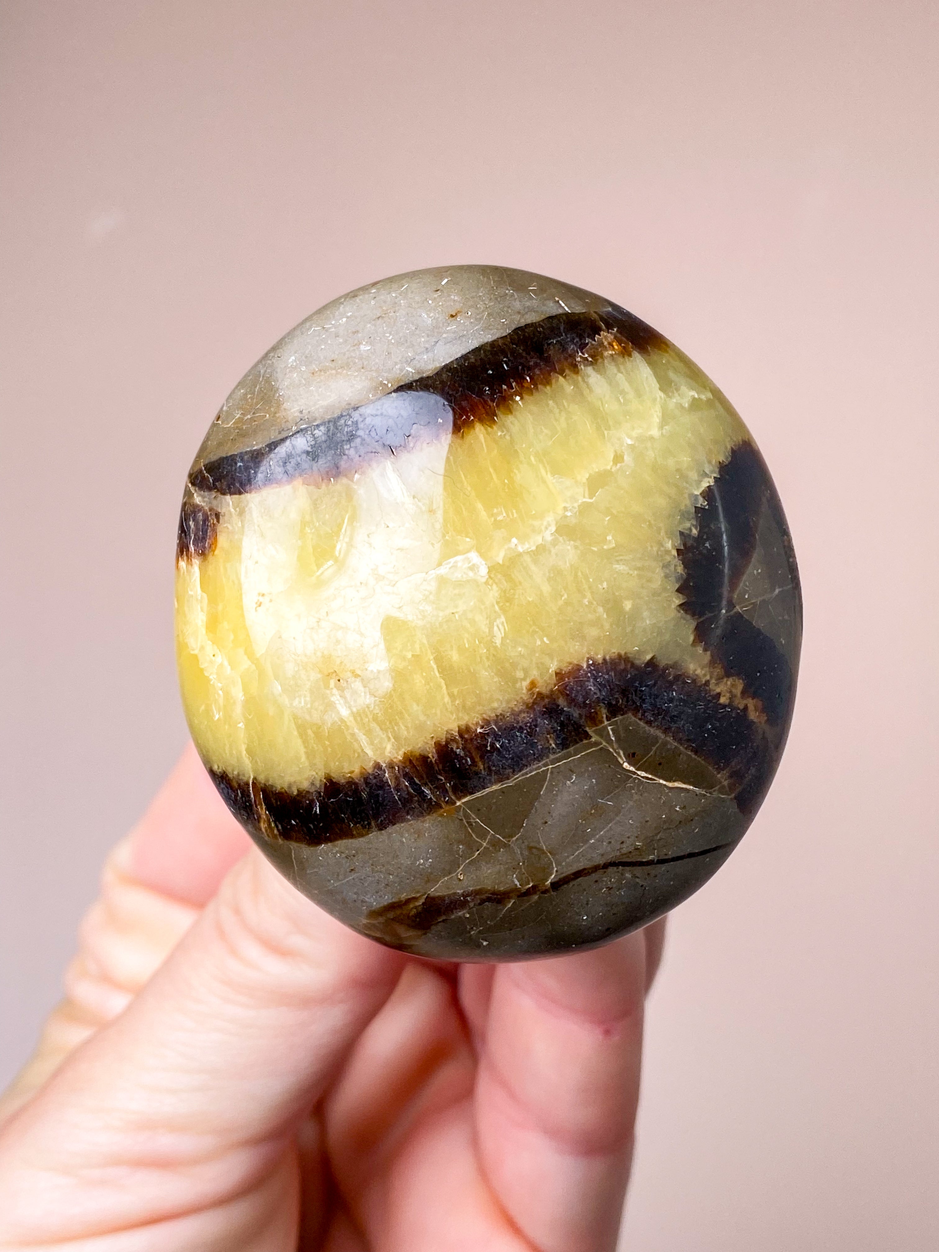 Septarie Palmstone (nr 3)