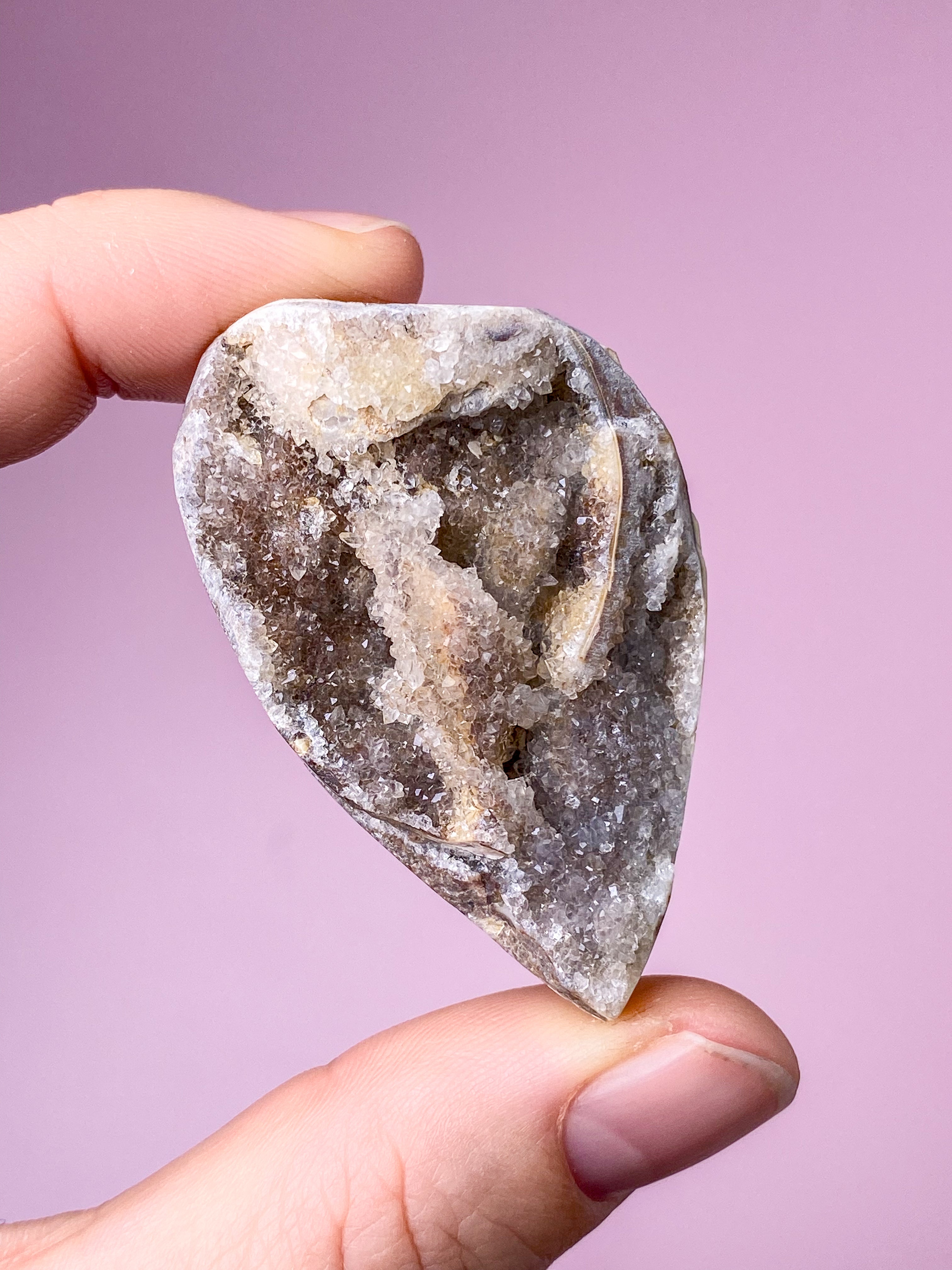 Druzy Conch-fossil (nr 28)