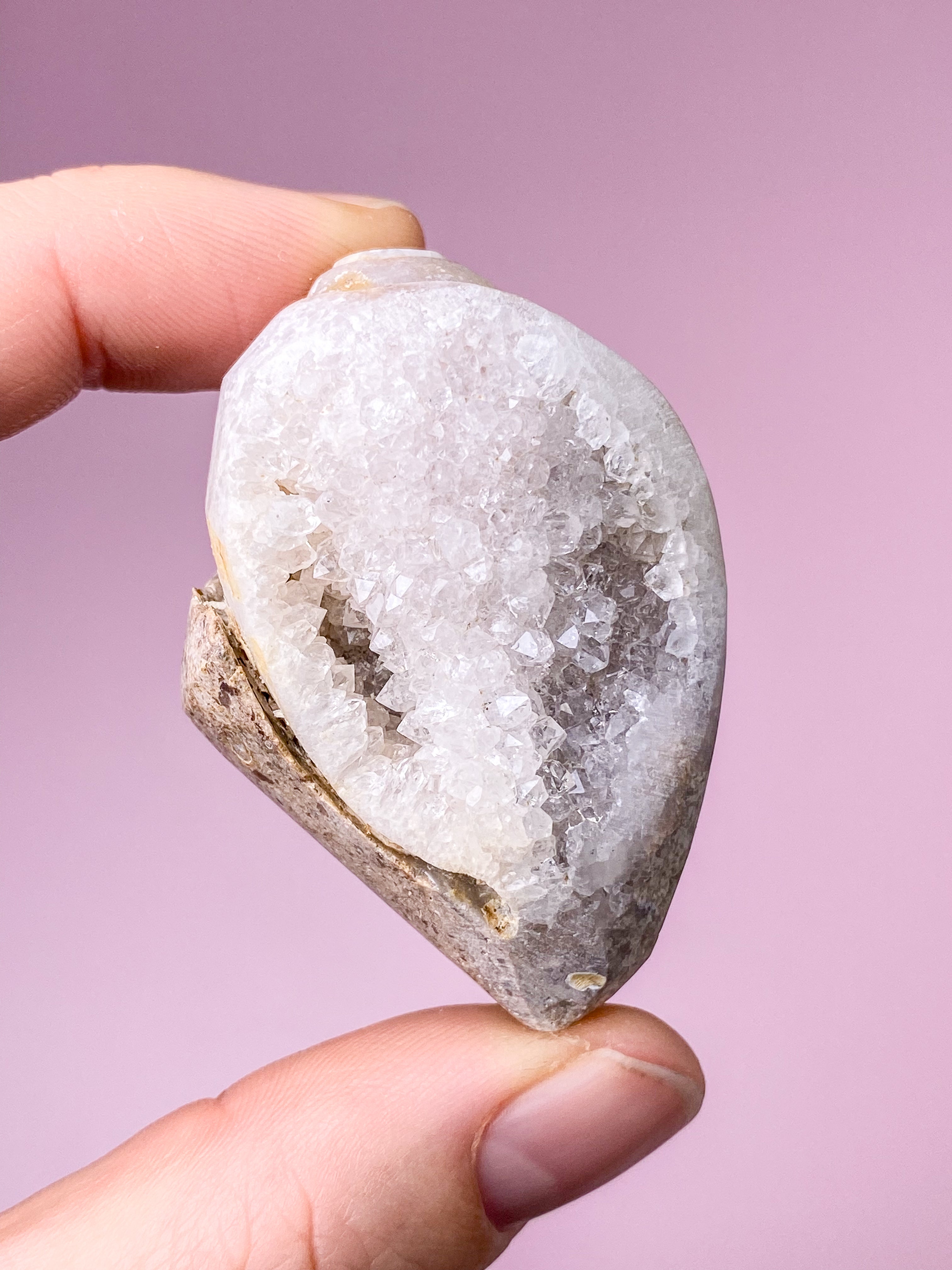 Druzy Conch Fossil (nr 30)