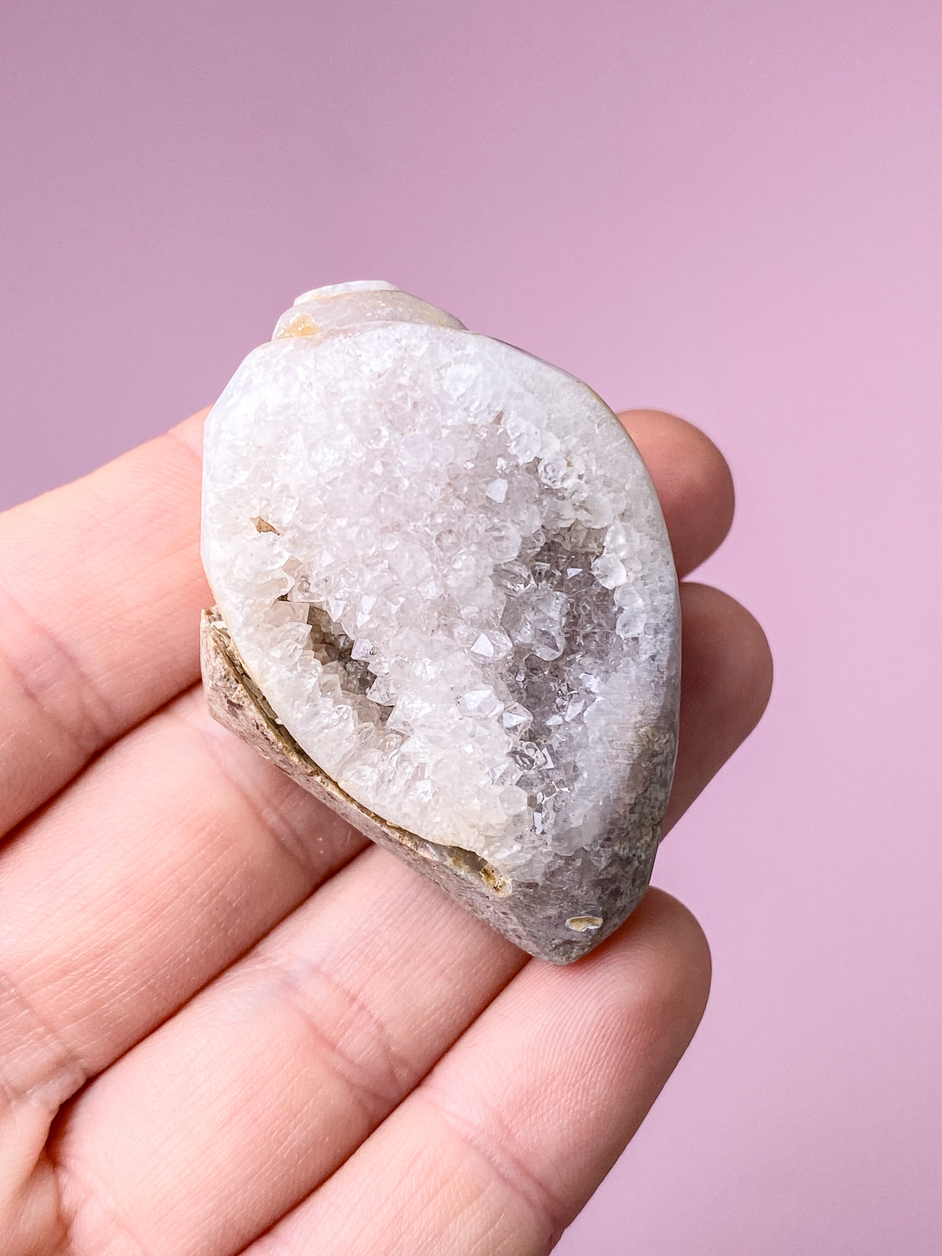 Druzy Conch Fossil (nr 30)