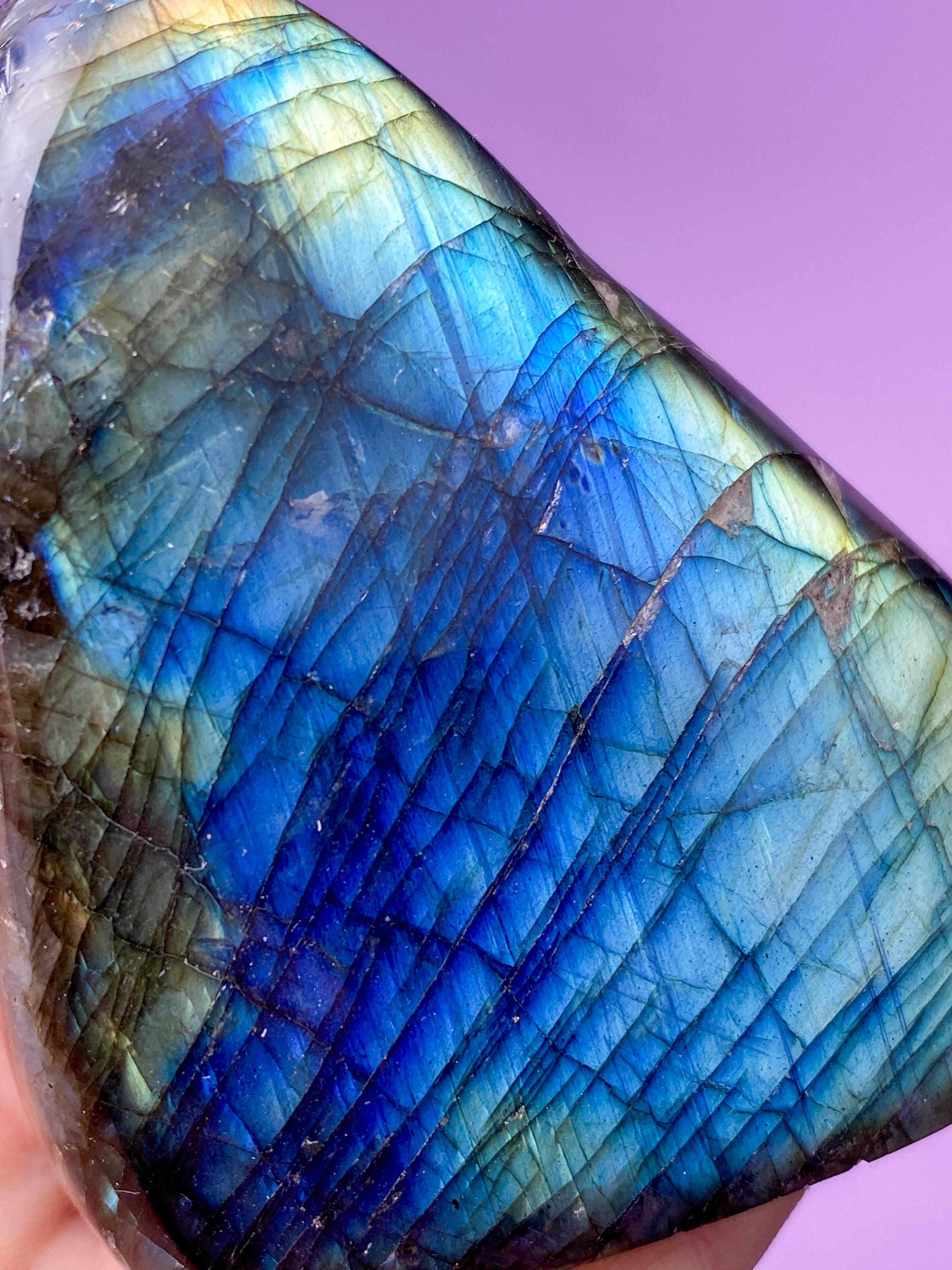 Guld labradorite hjärta