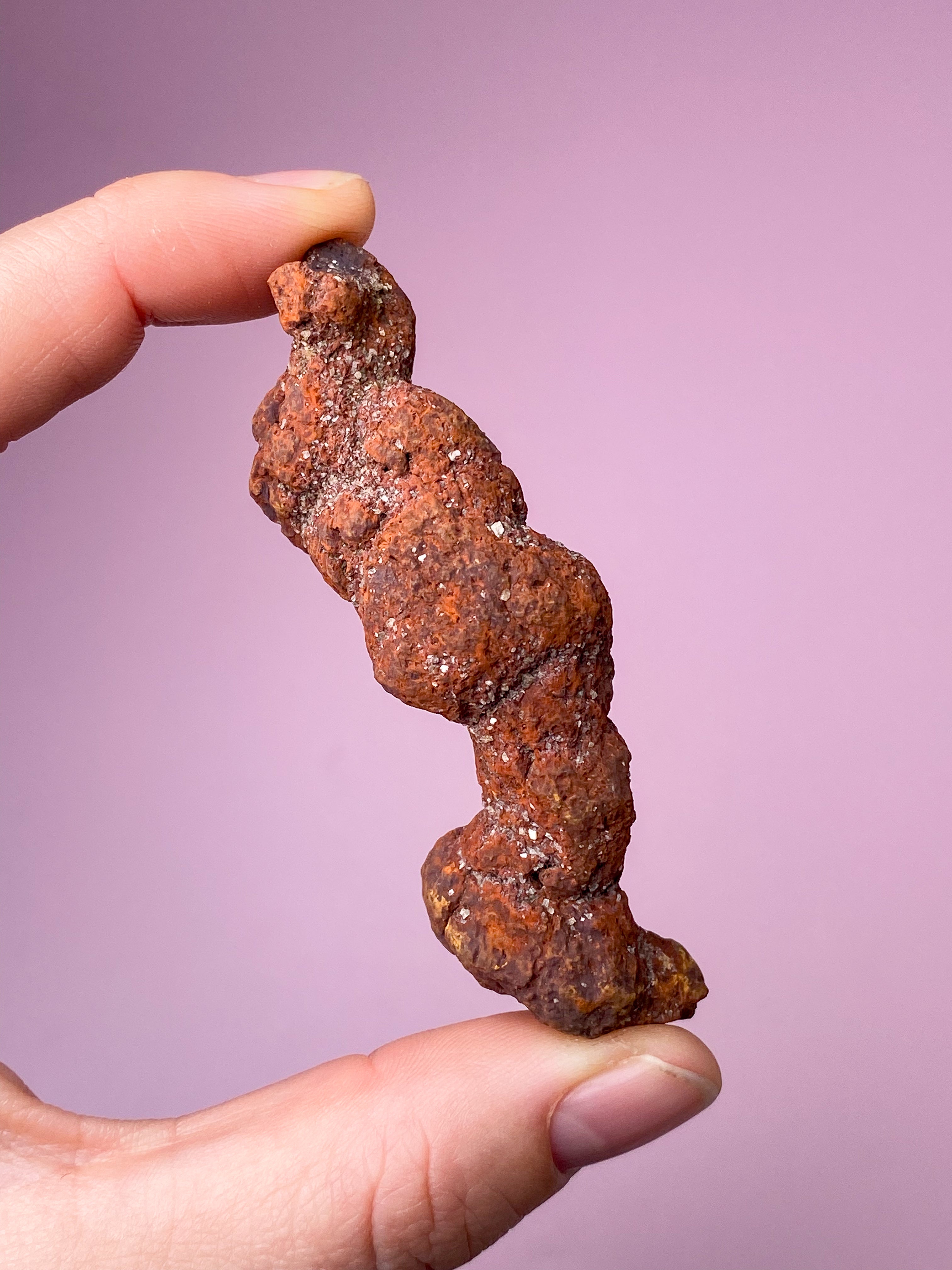 Koprolitfossil (nr 2)