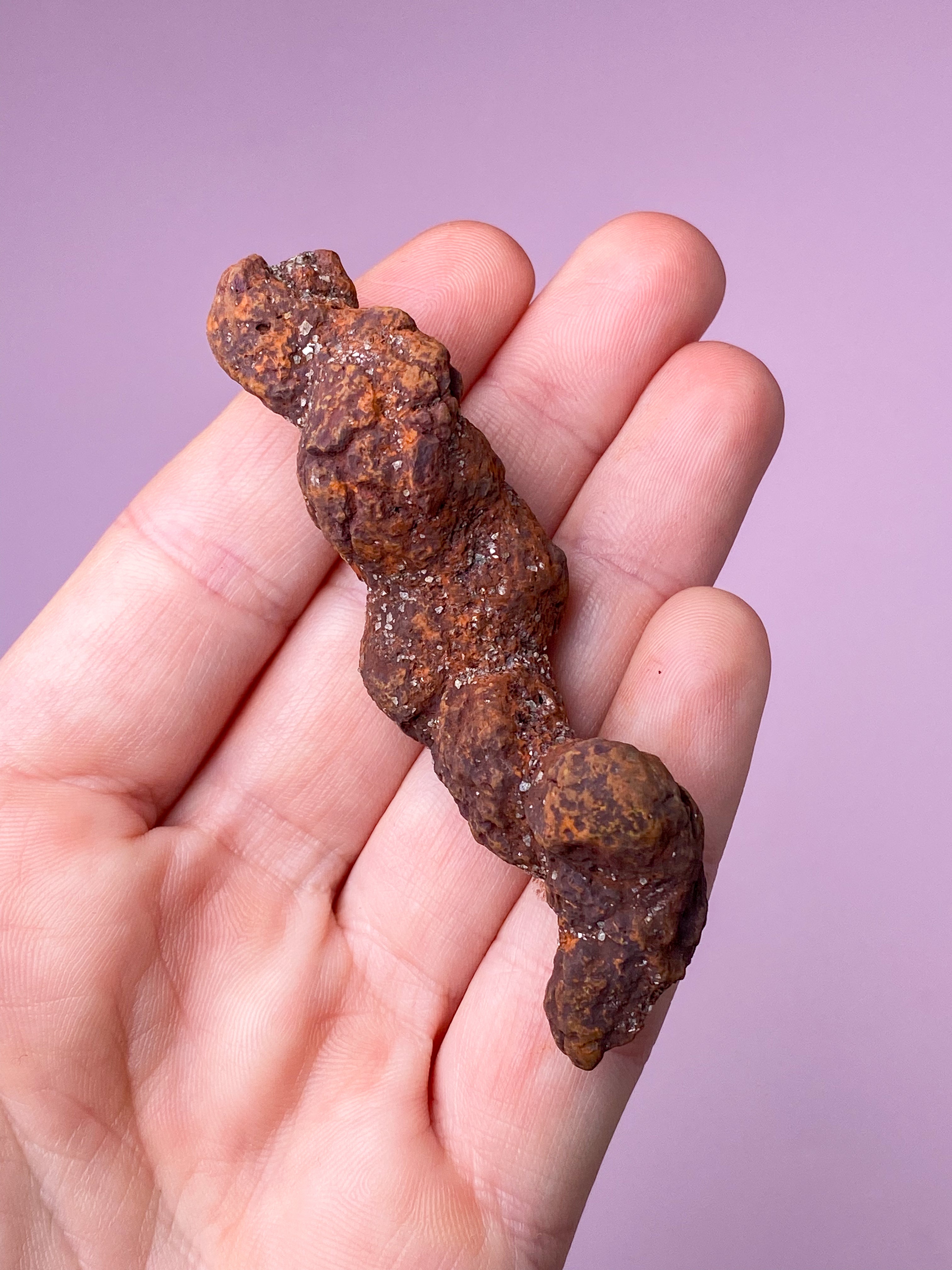 Koprolitfossil (nr 2)