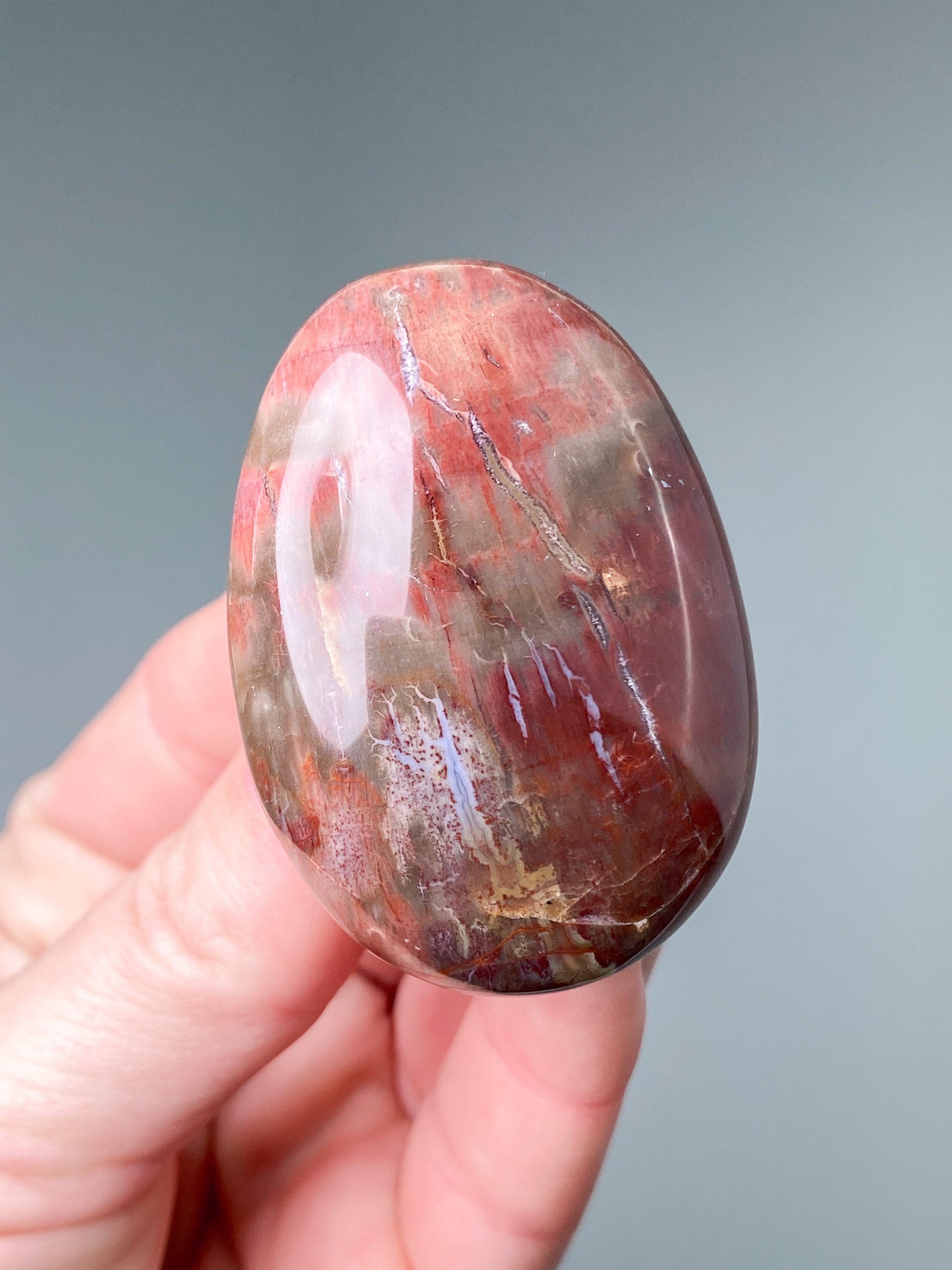 Förstenad träpalmsten (nr 3)