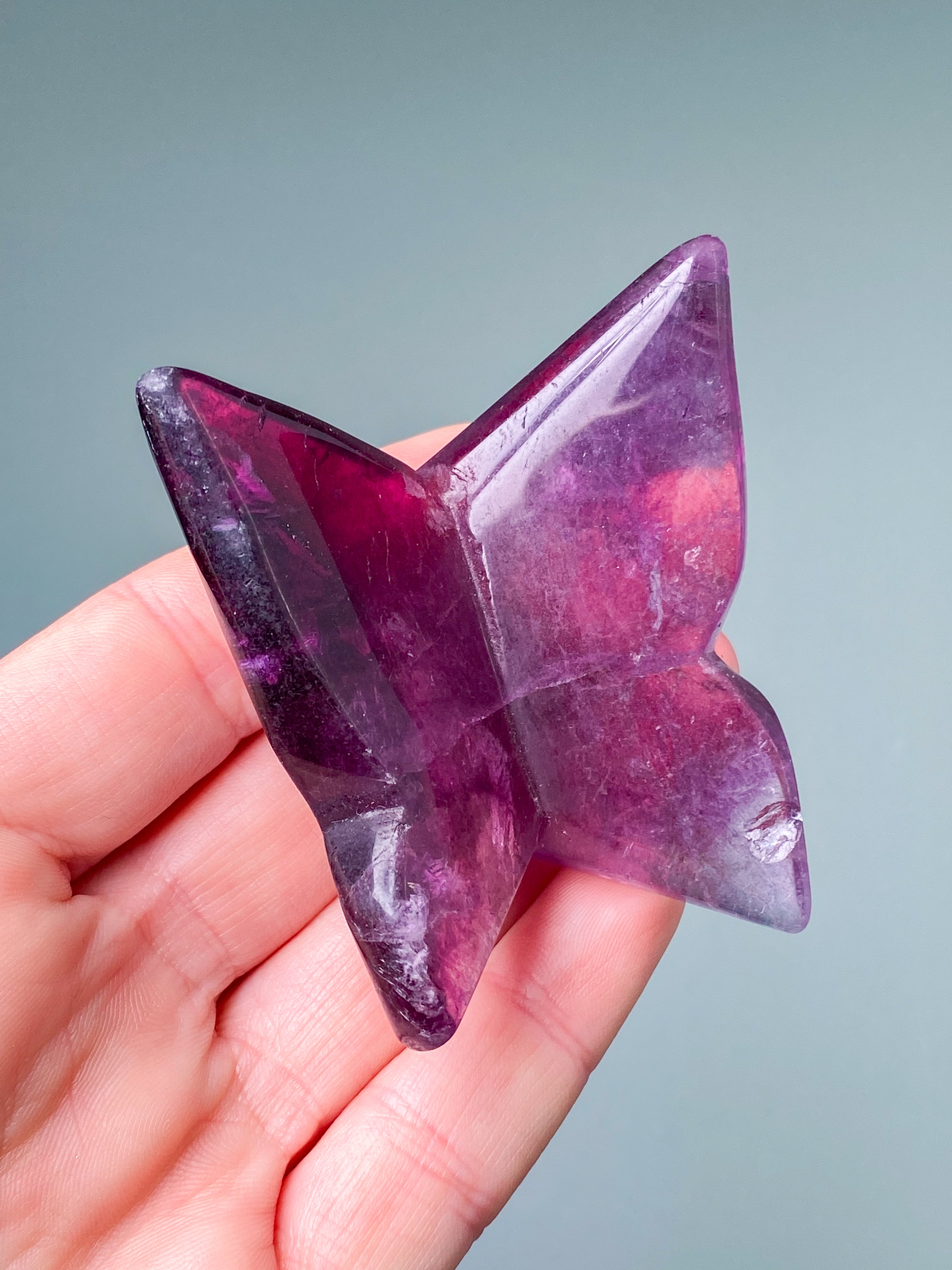 Regnbågsfluoritfjäril (nr 5)