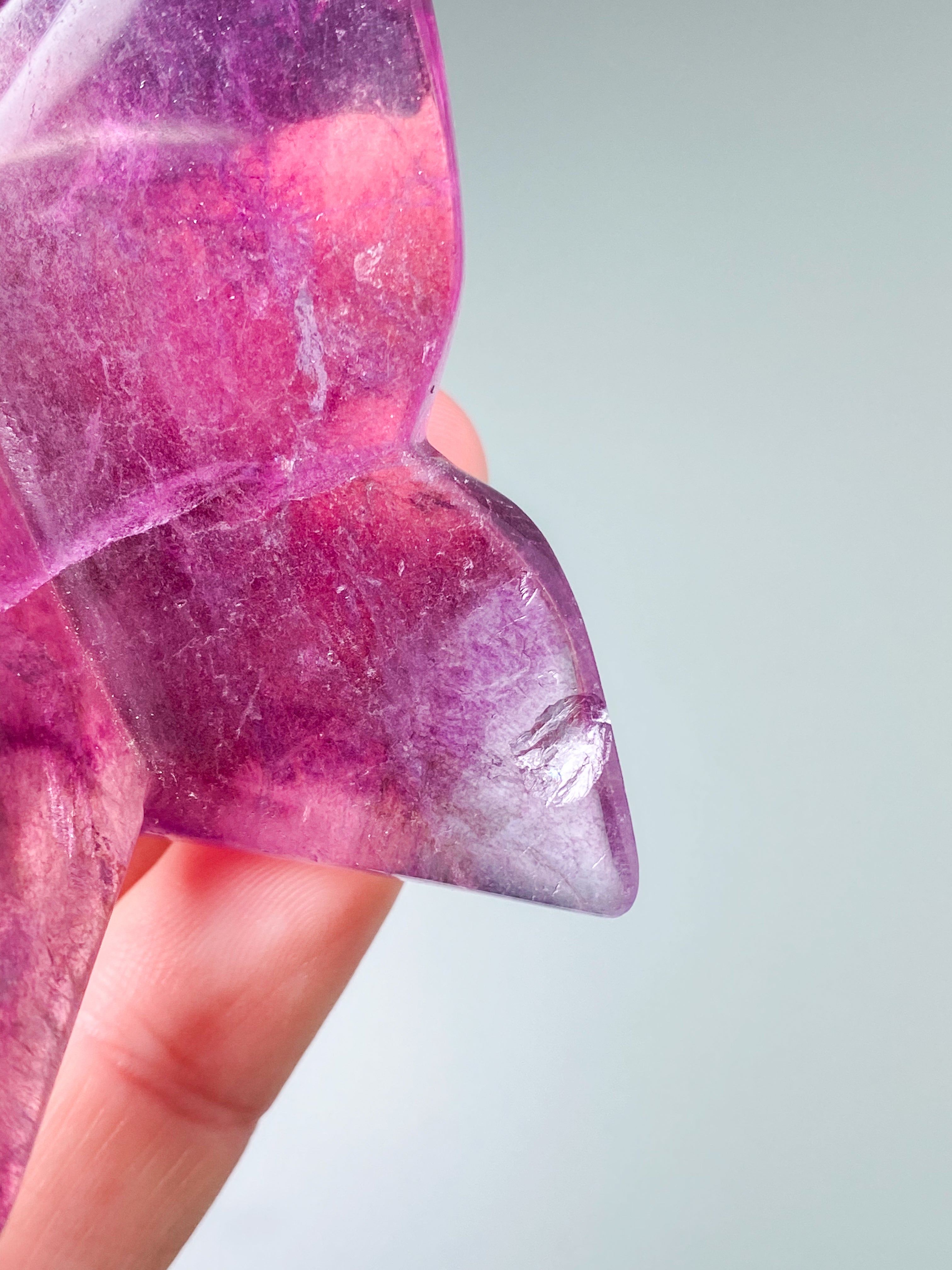 Regnbågsfluoritfjäril (nr 5)