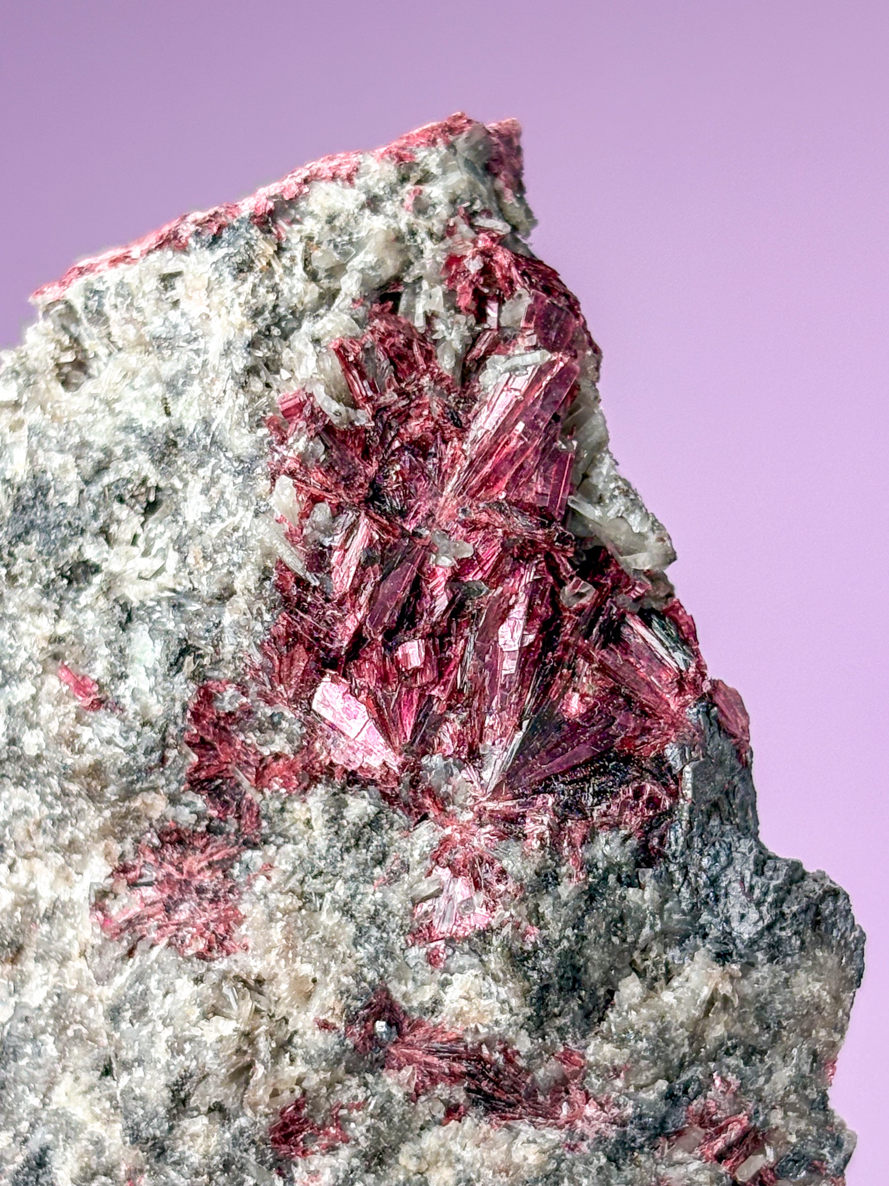 Erytritkluster (nr 1)