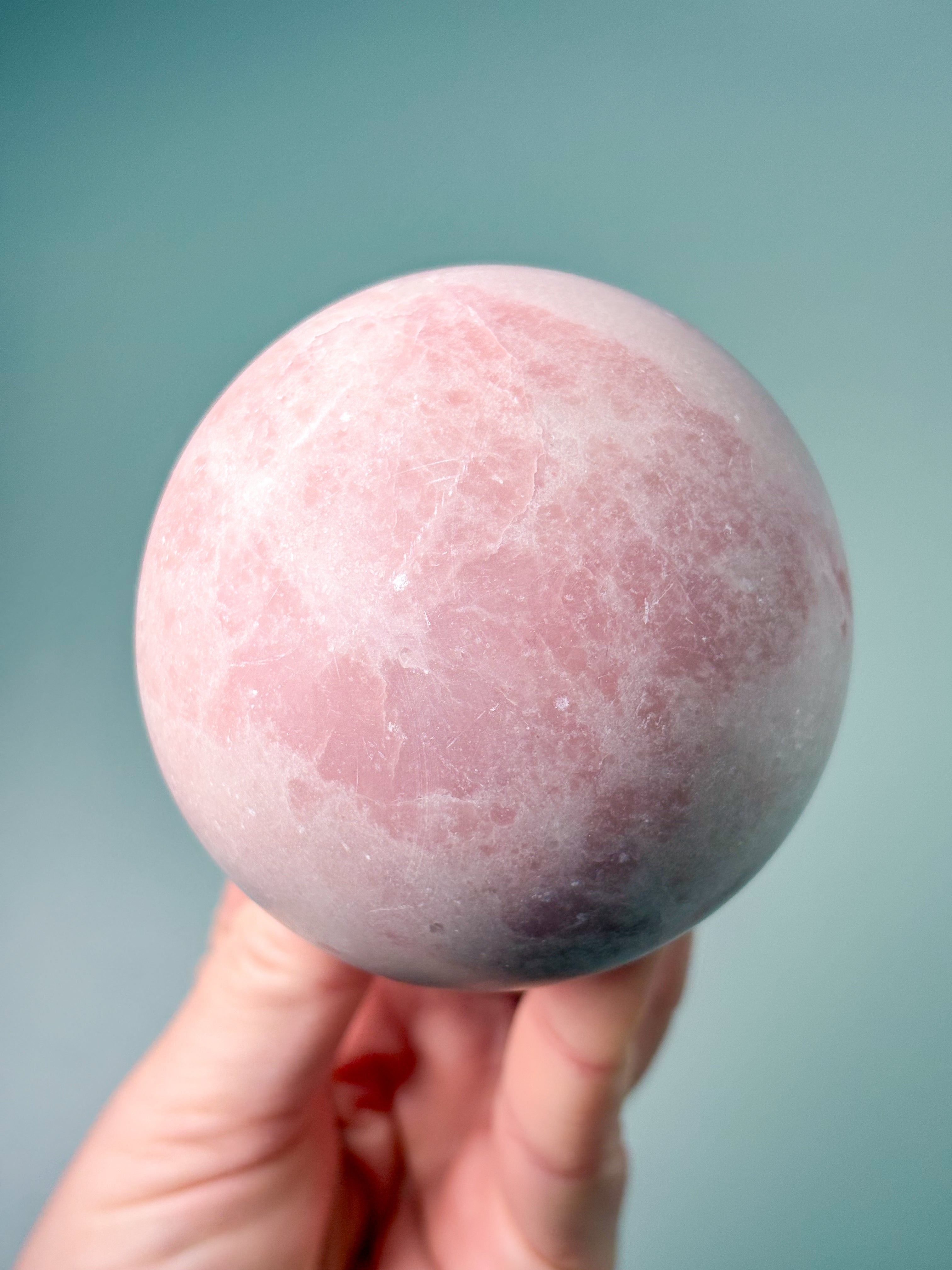 Rosa Opalkula (nr 3)