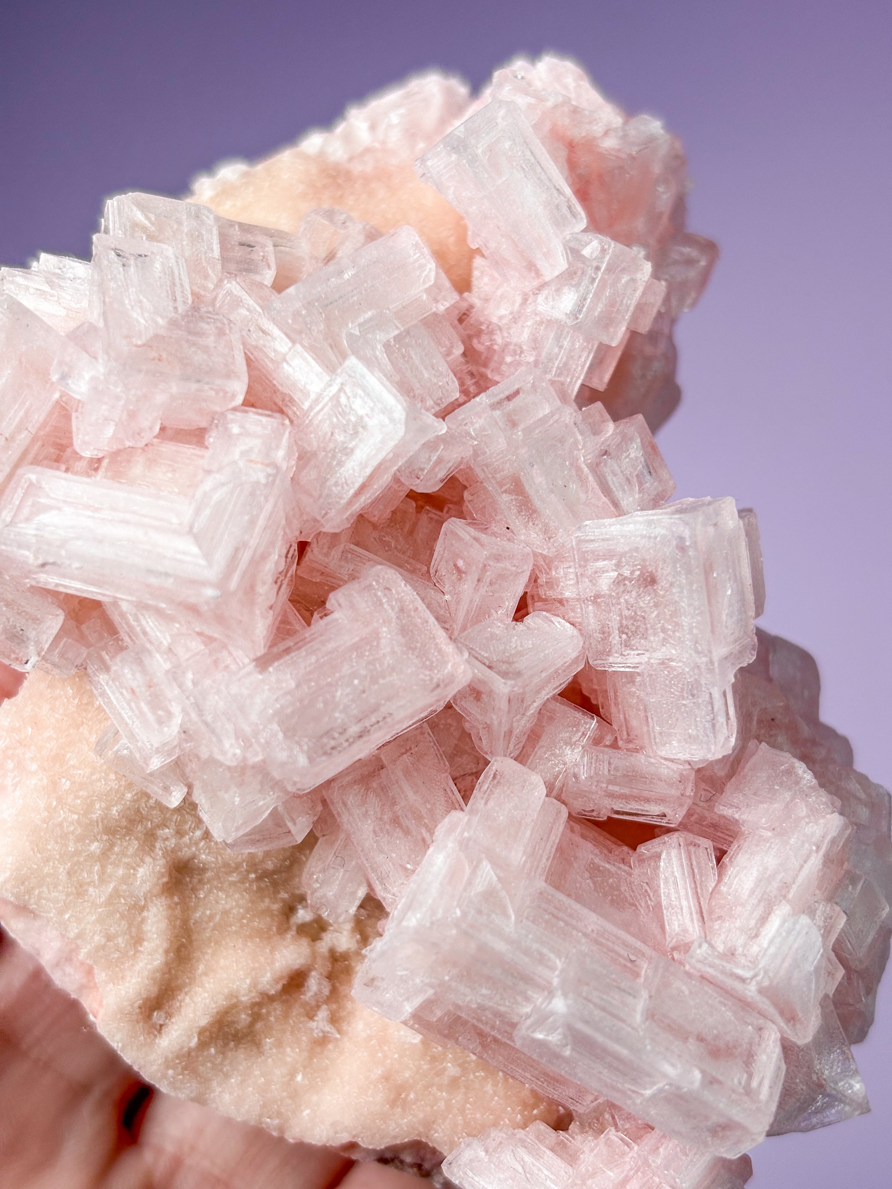 Rosa halitkluster (nr 44)