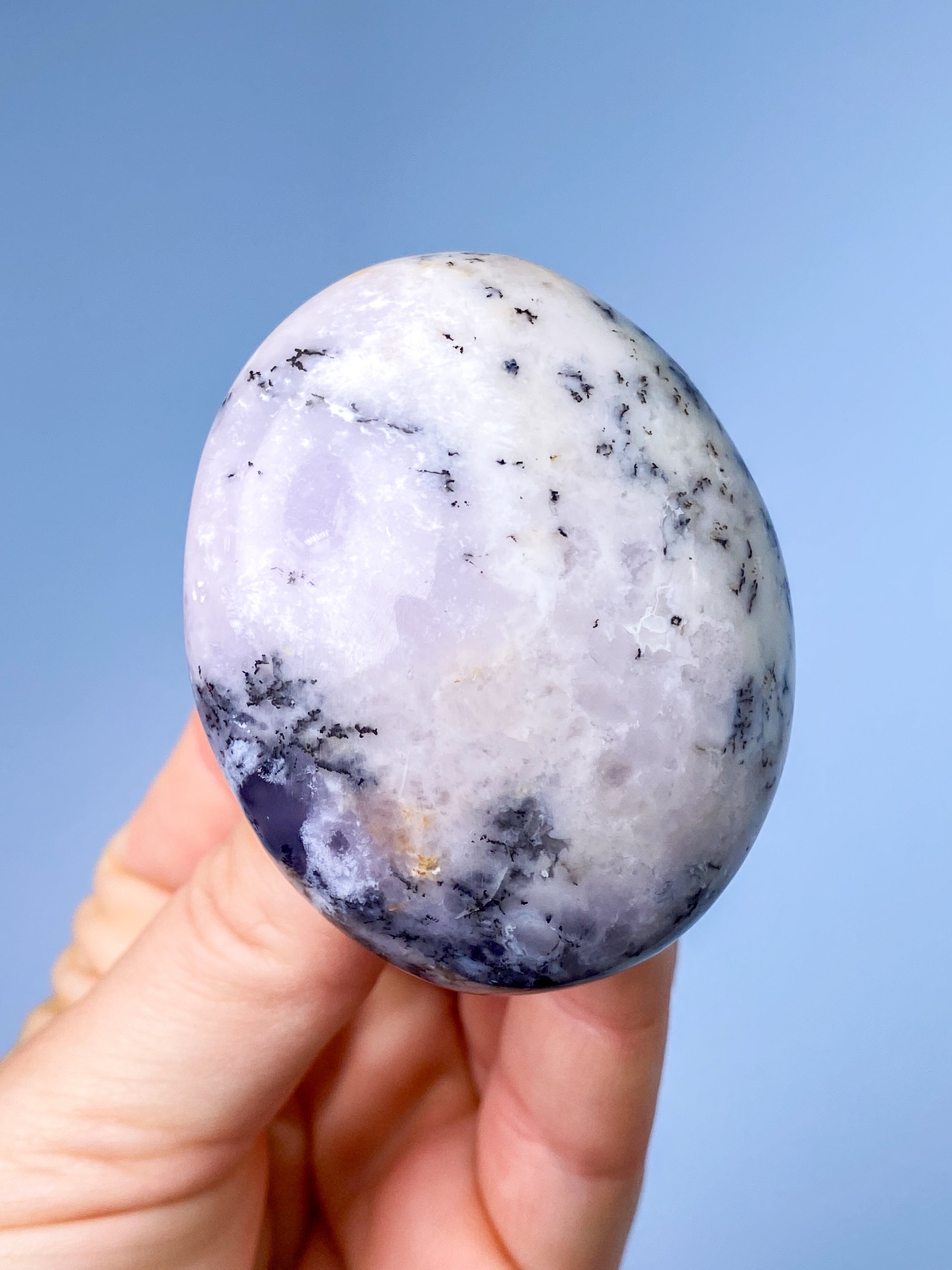 Dendrit Opal Svamp (nr 5)