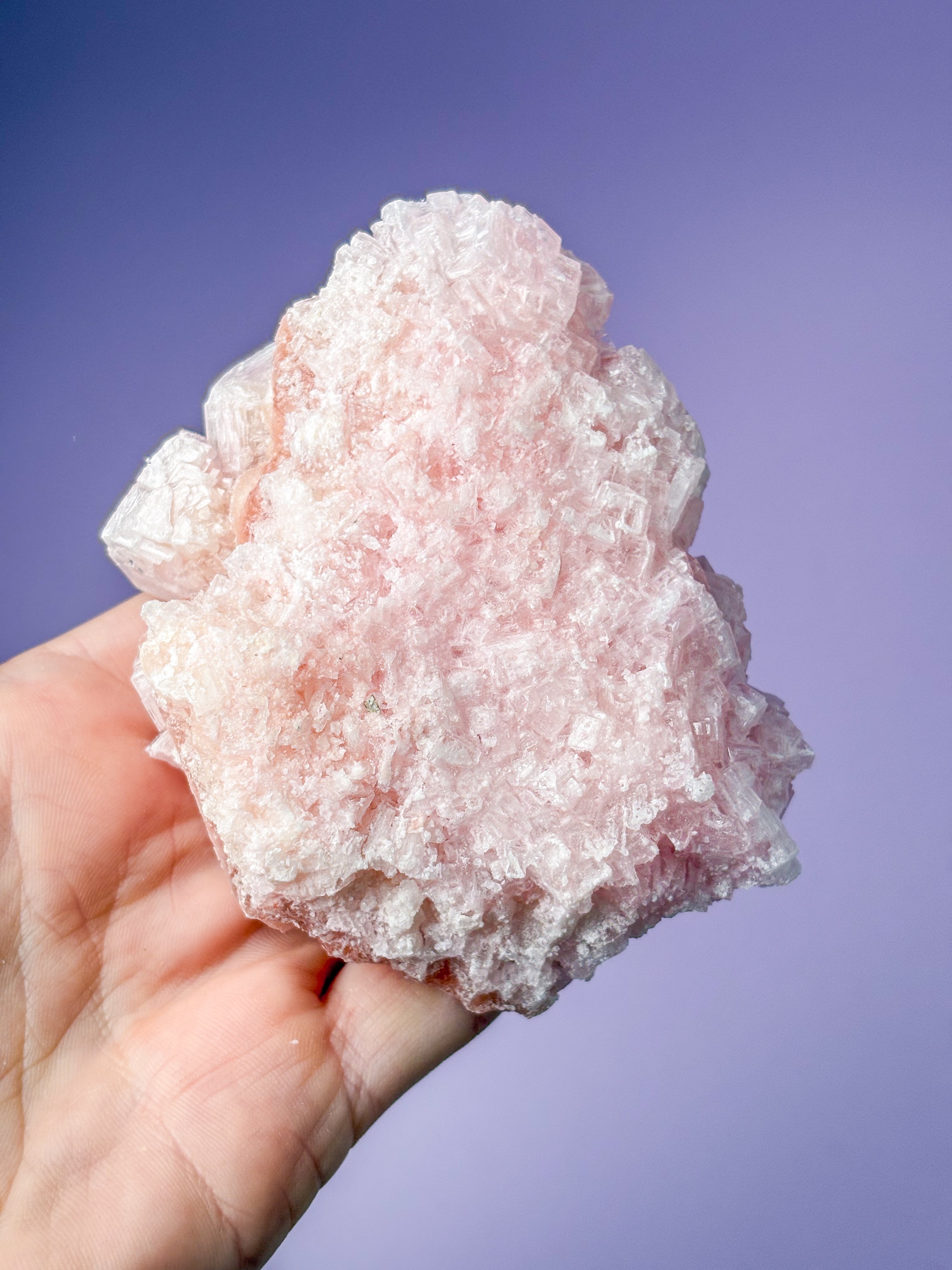 Rosa halitkluster (nr 50)