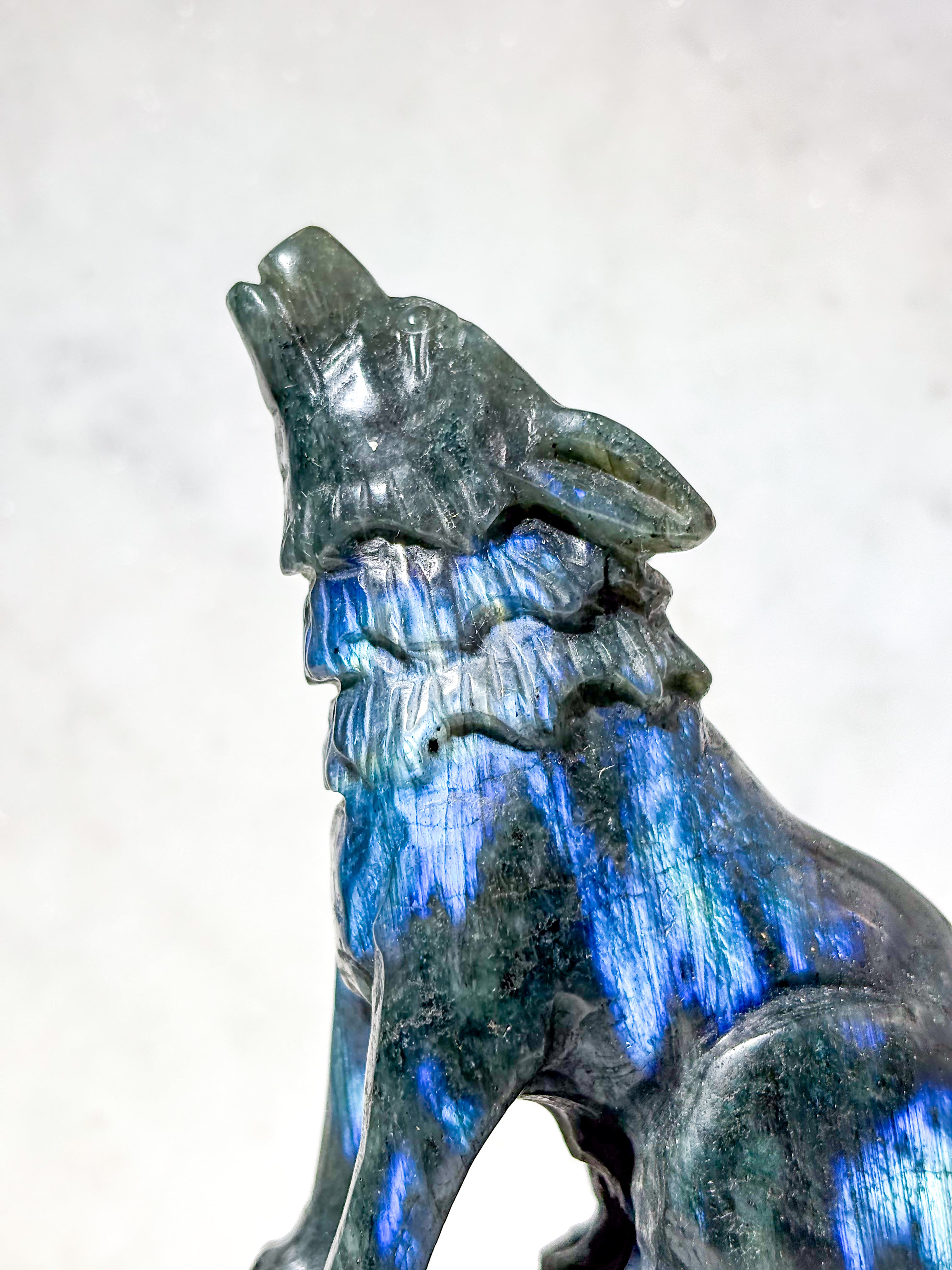 Labradorit Ulv (Nr. 1)