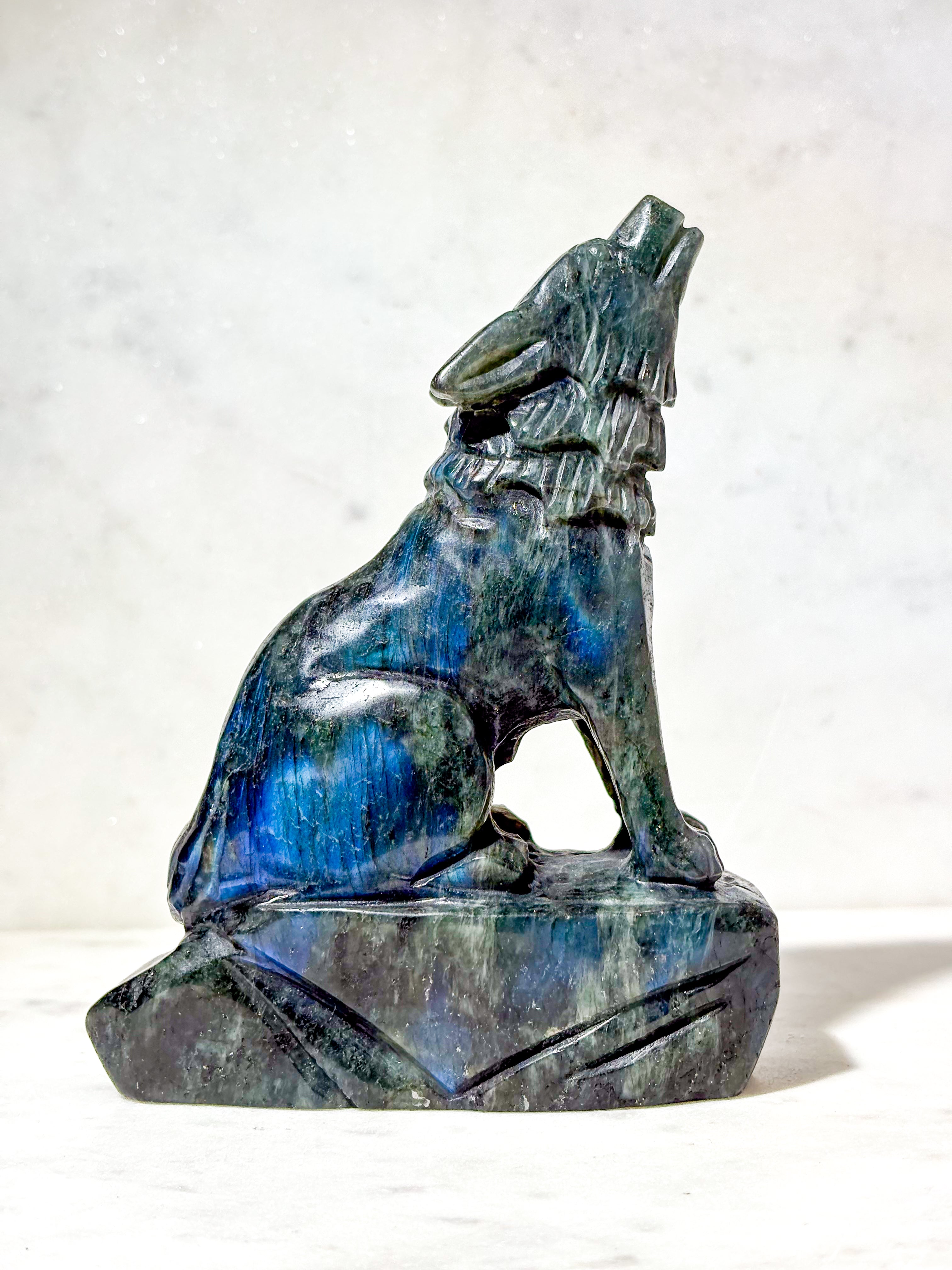 Labradorit Ulv (Nr. 1)