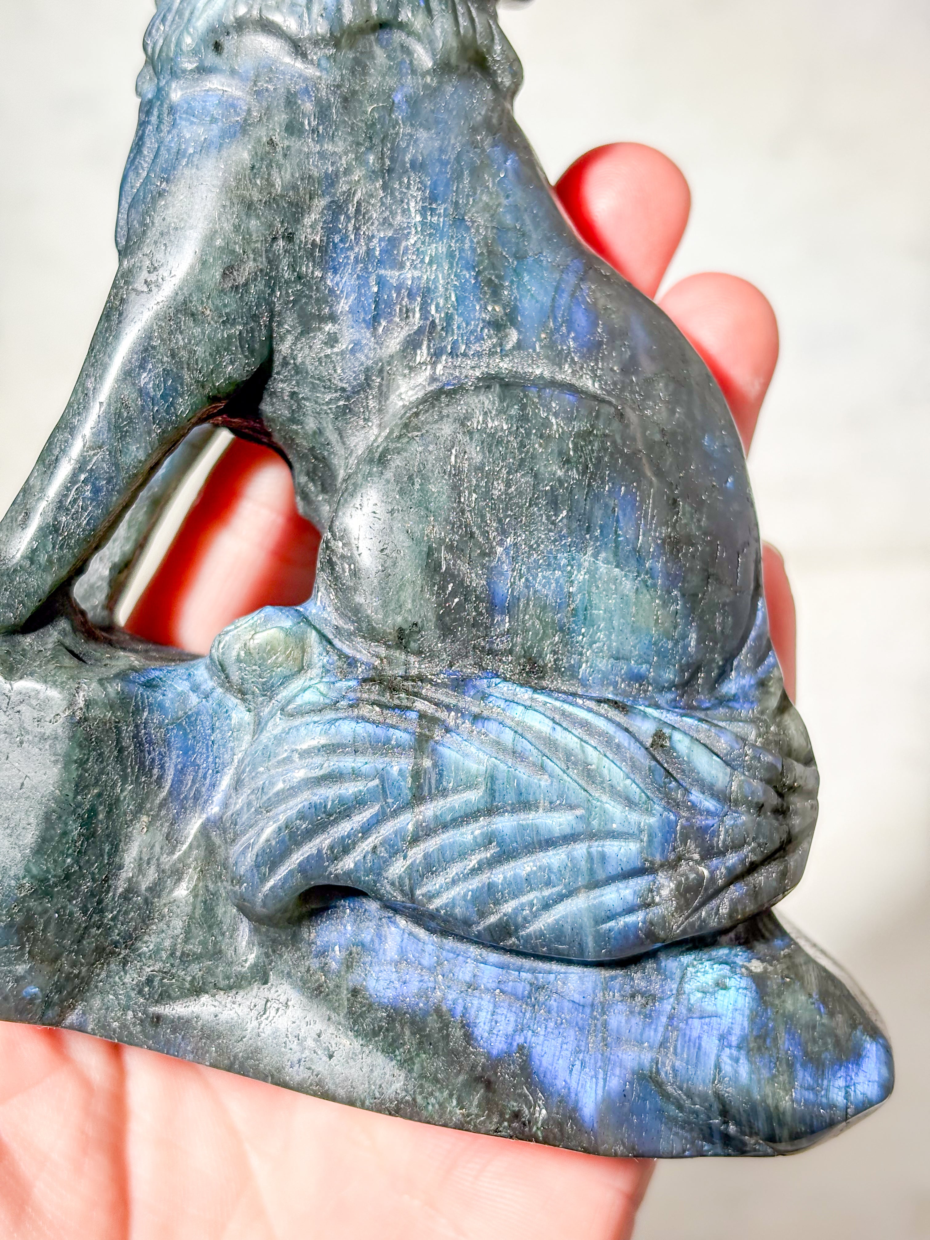 Labradorit Ulv (Nr. 1)