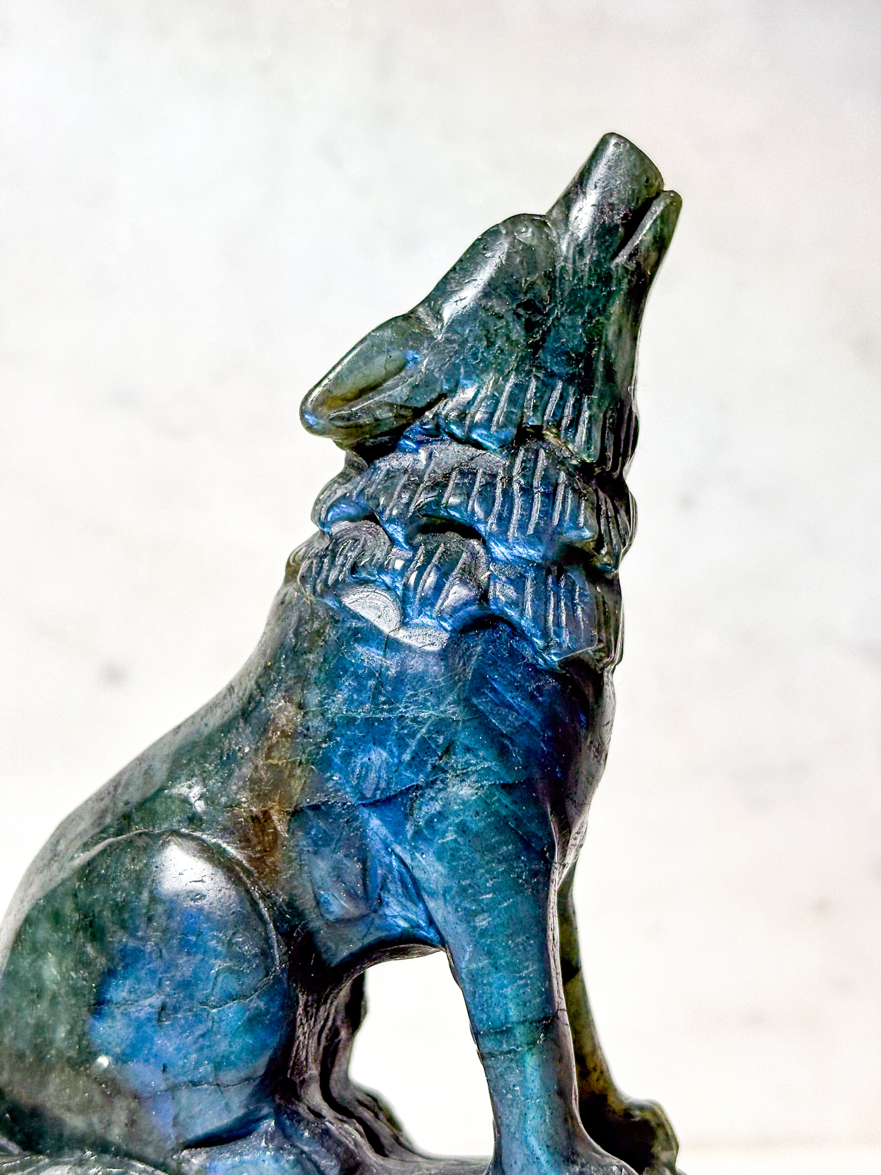 Labradorit Ulv (Nr. 2)