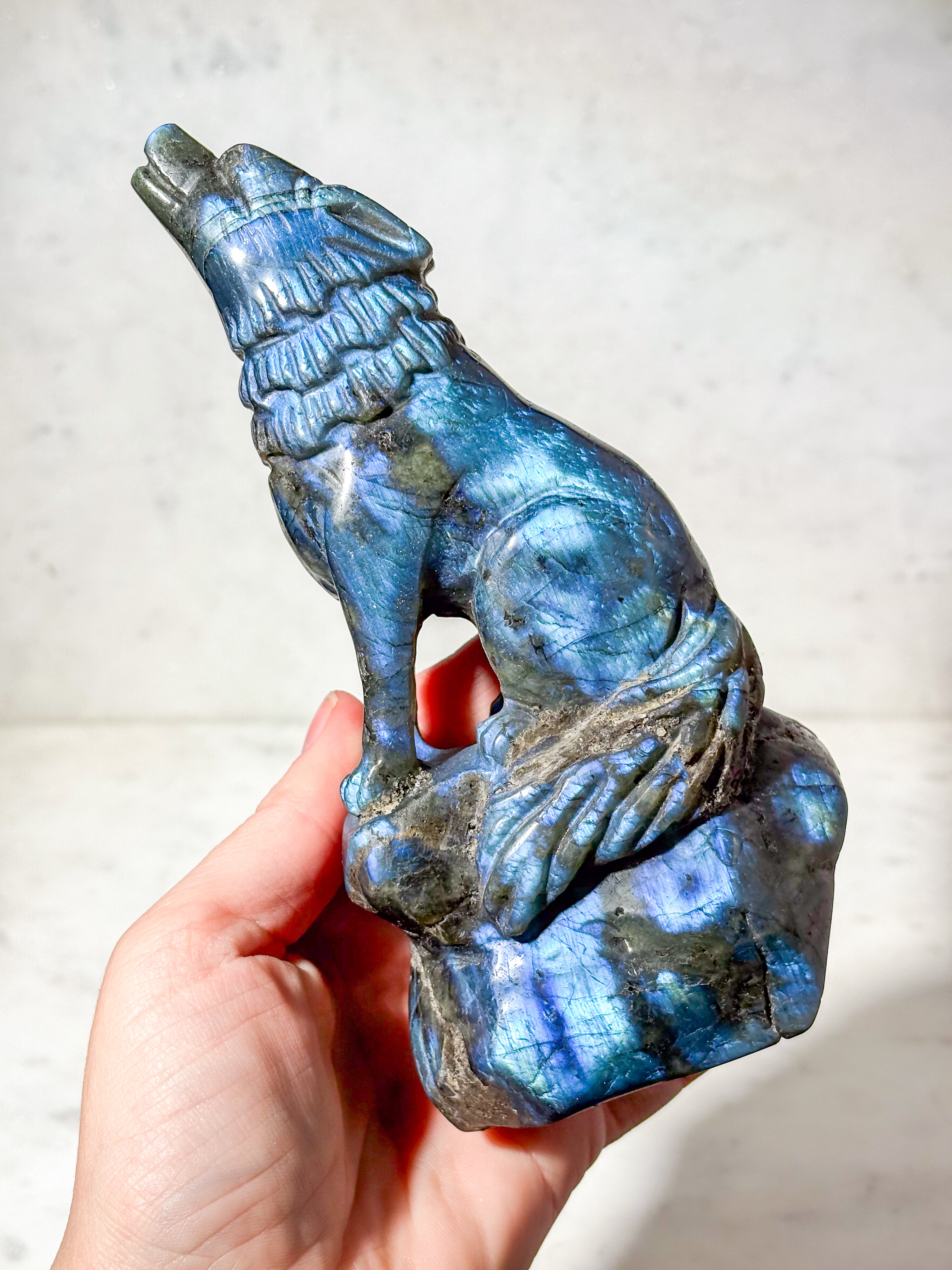 Labradorit Ulv (Nr. 5)