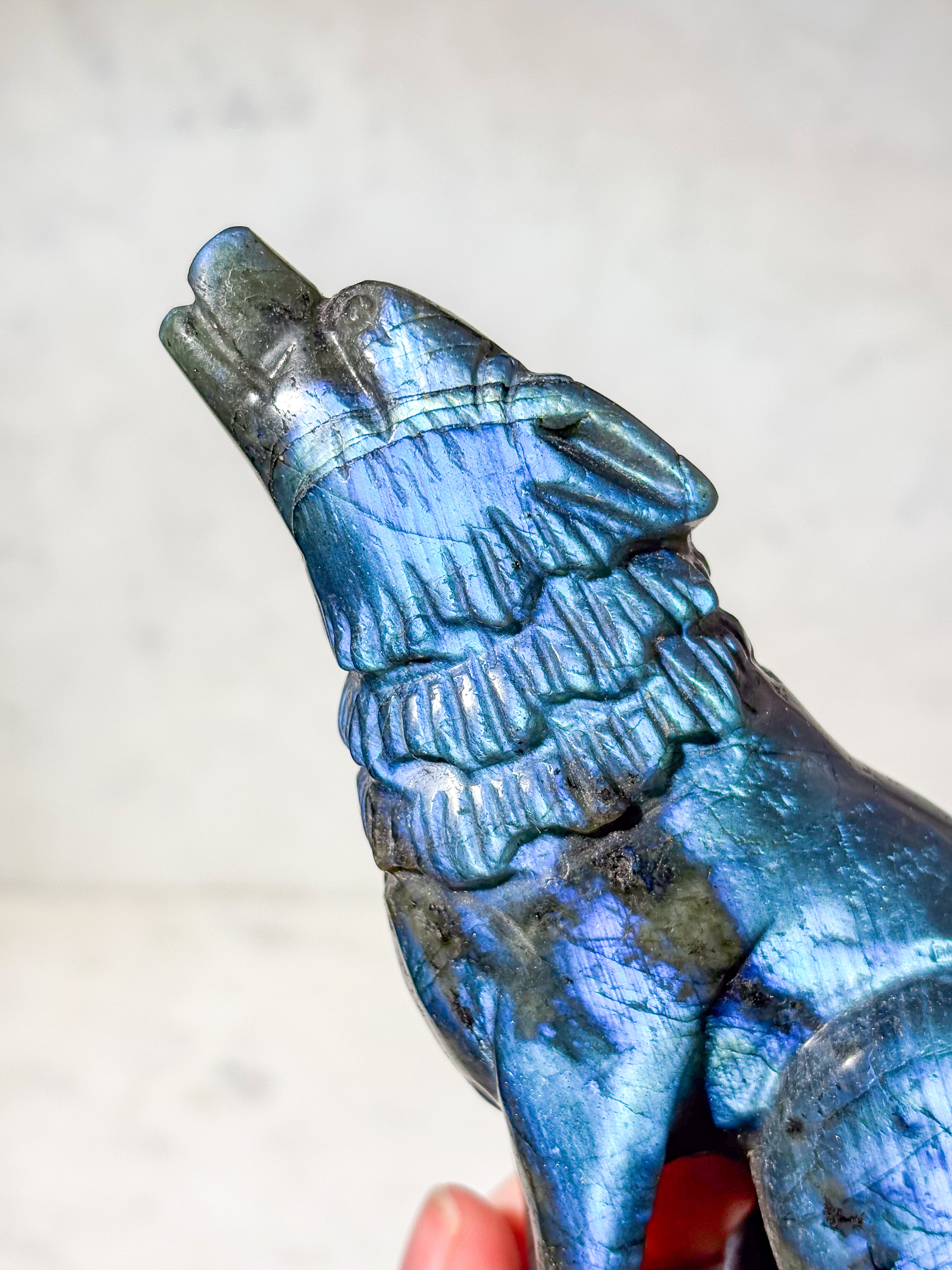 Labradorit Ulv (Nr. 5)