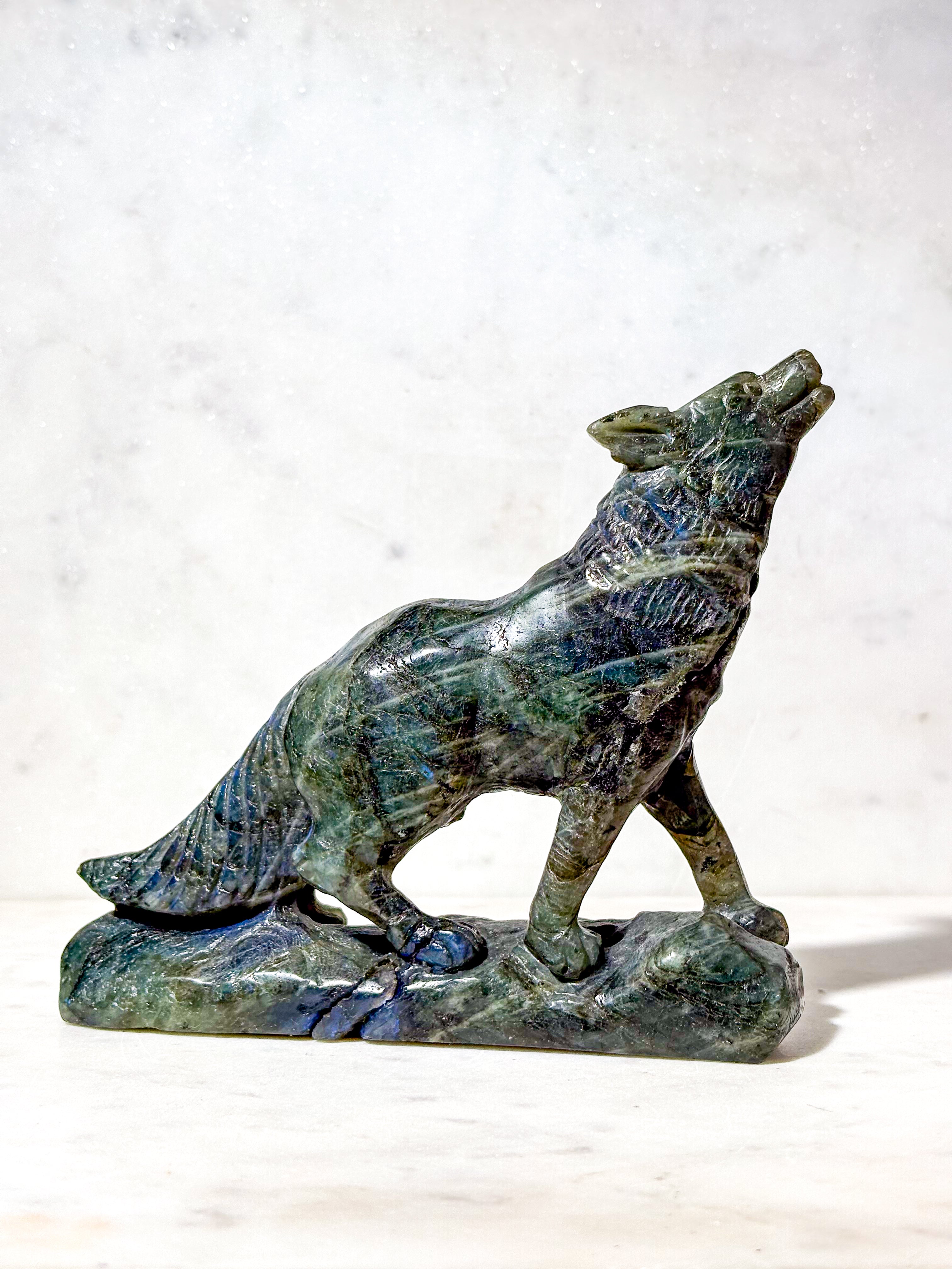 Labradorit Ulv (Nr. 6)