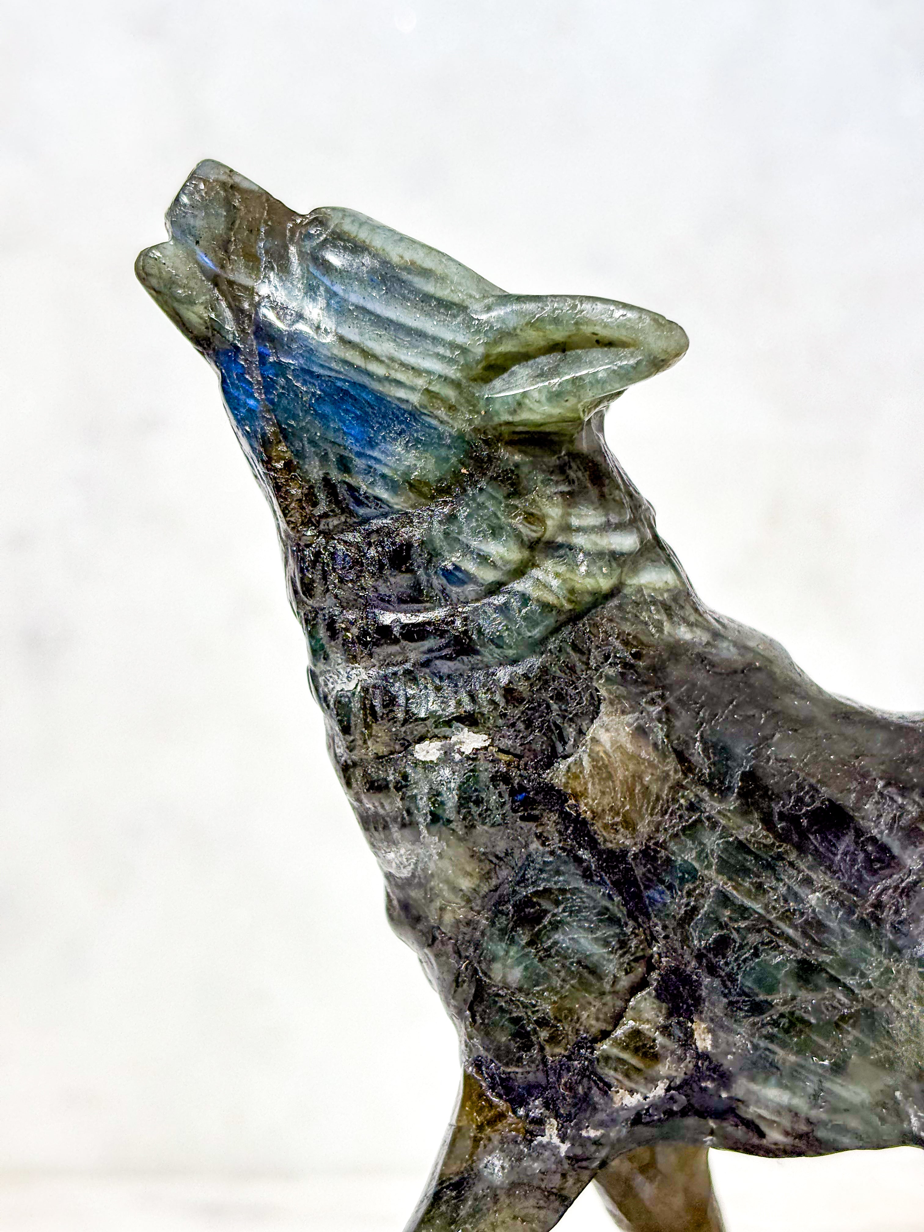 Labradorit Ulv (Nr. 6)