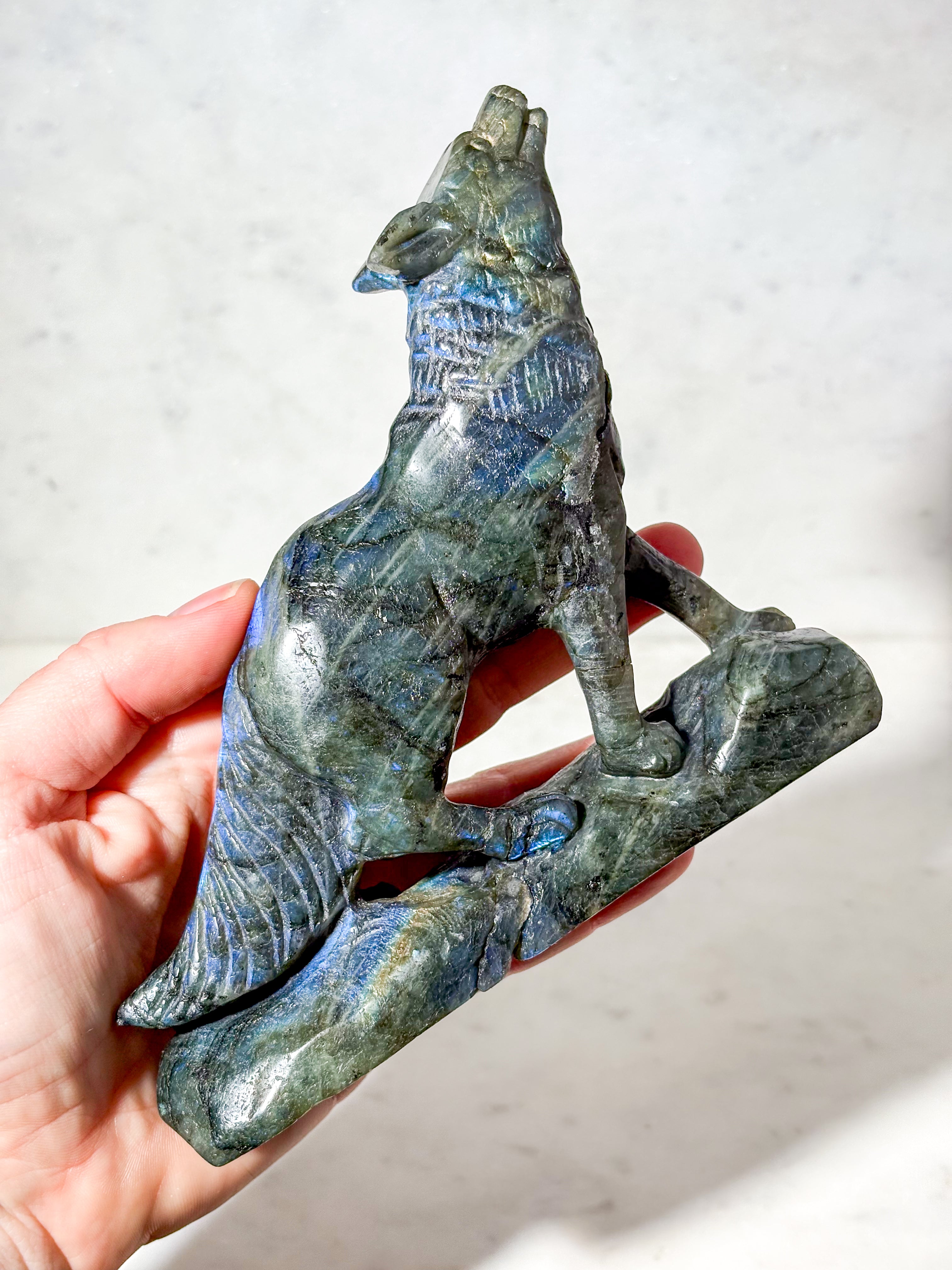 Labradorit Ulv (Nr. 6)