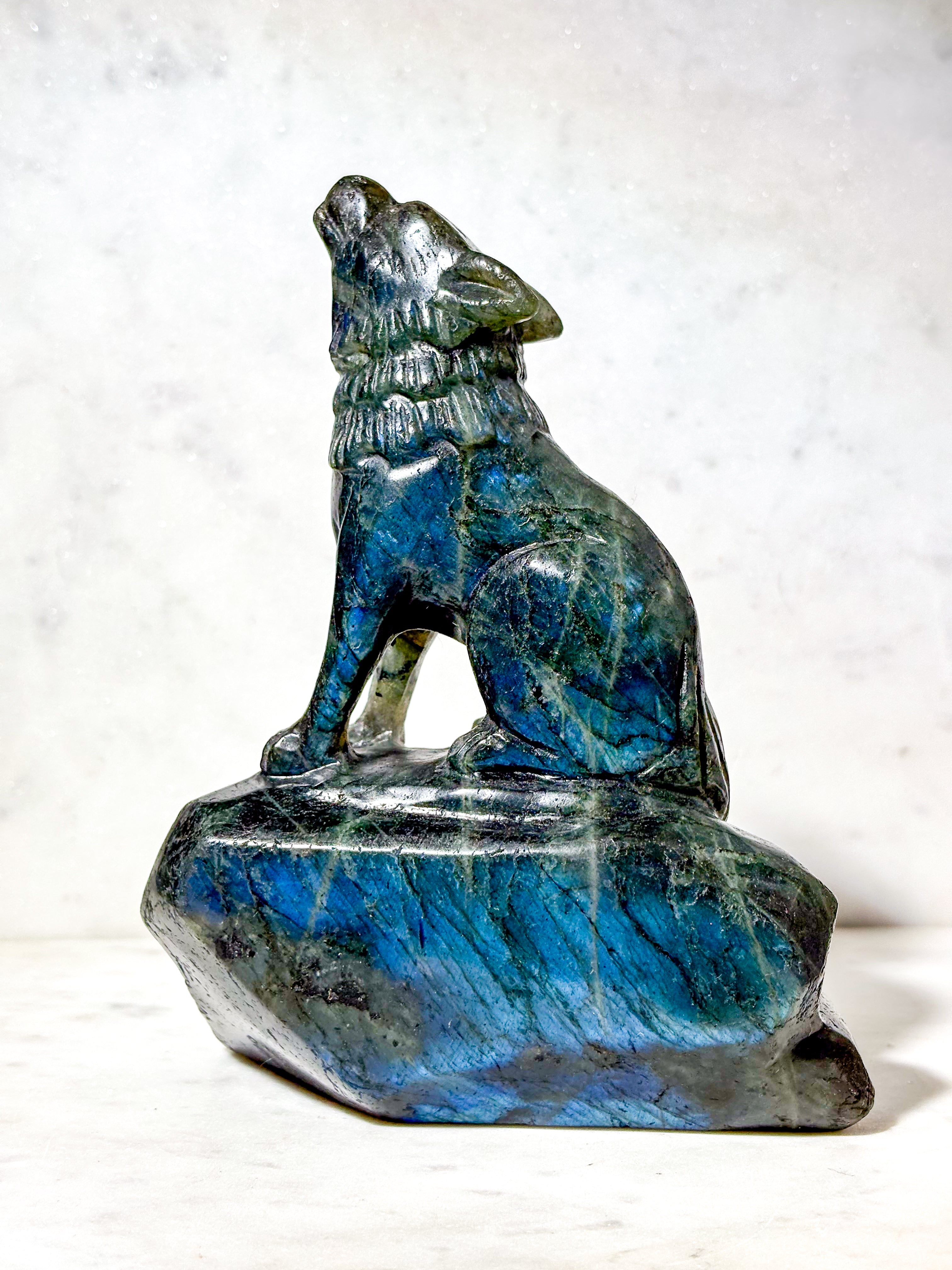 Labradorit Ulv (Nr. 7)