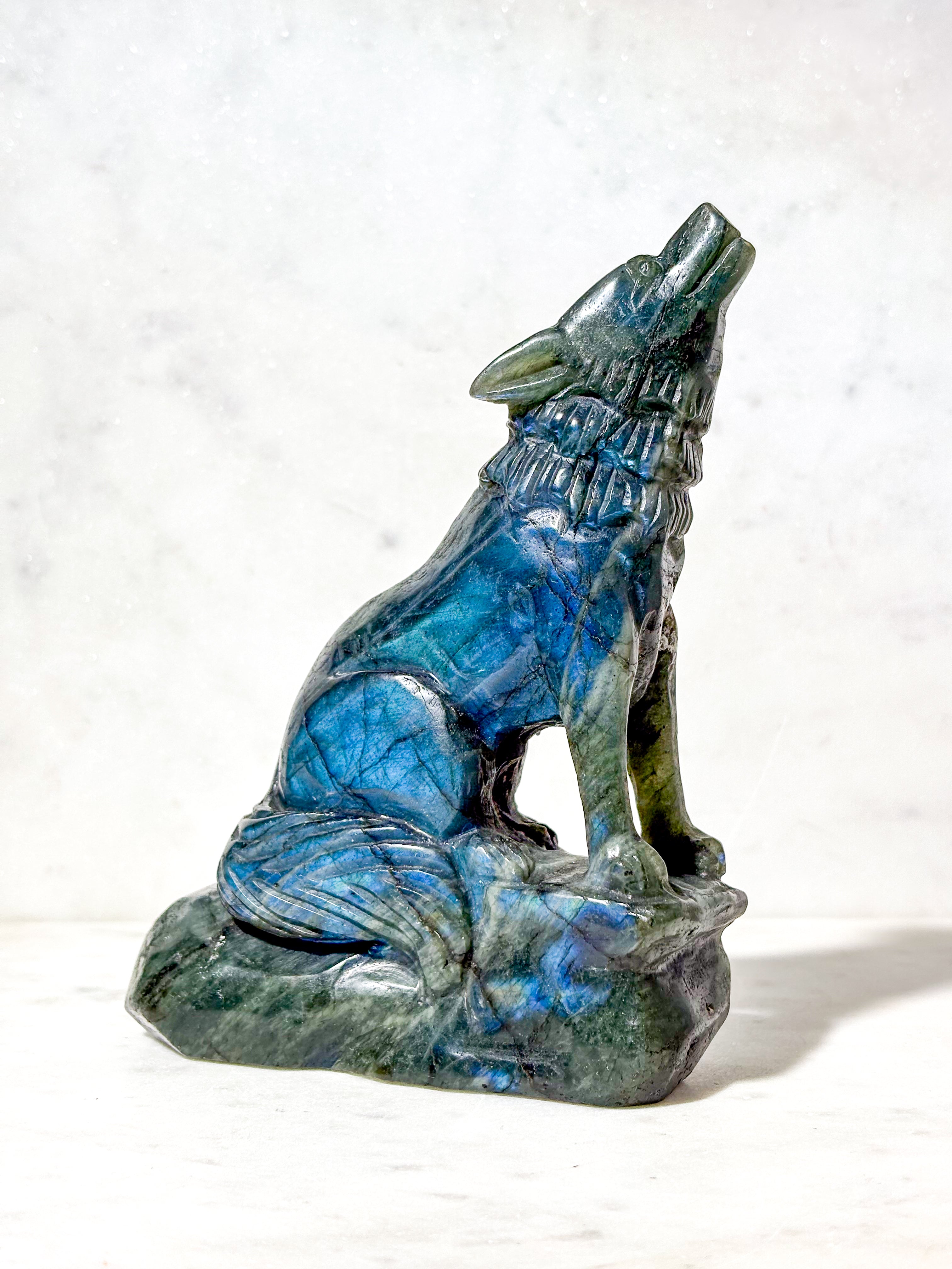 Labradorit Ulv (Nr. 9)