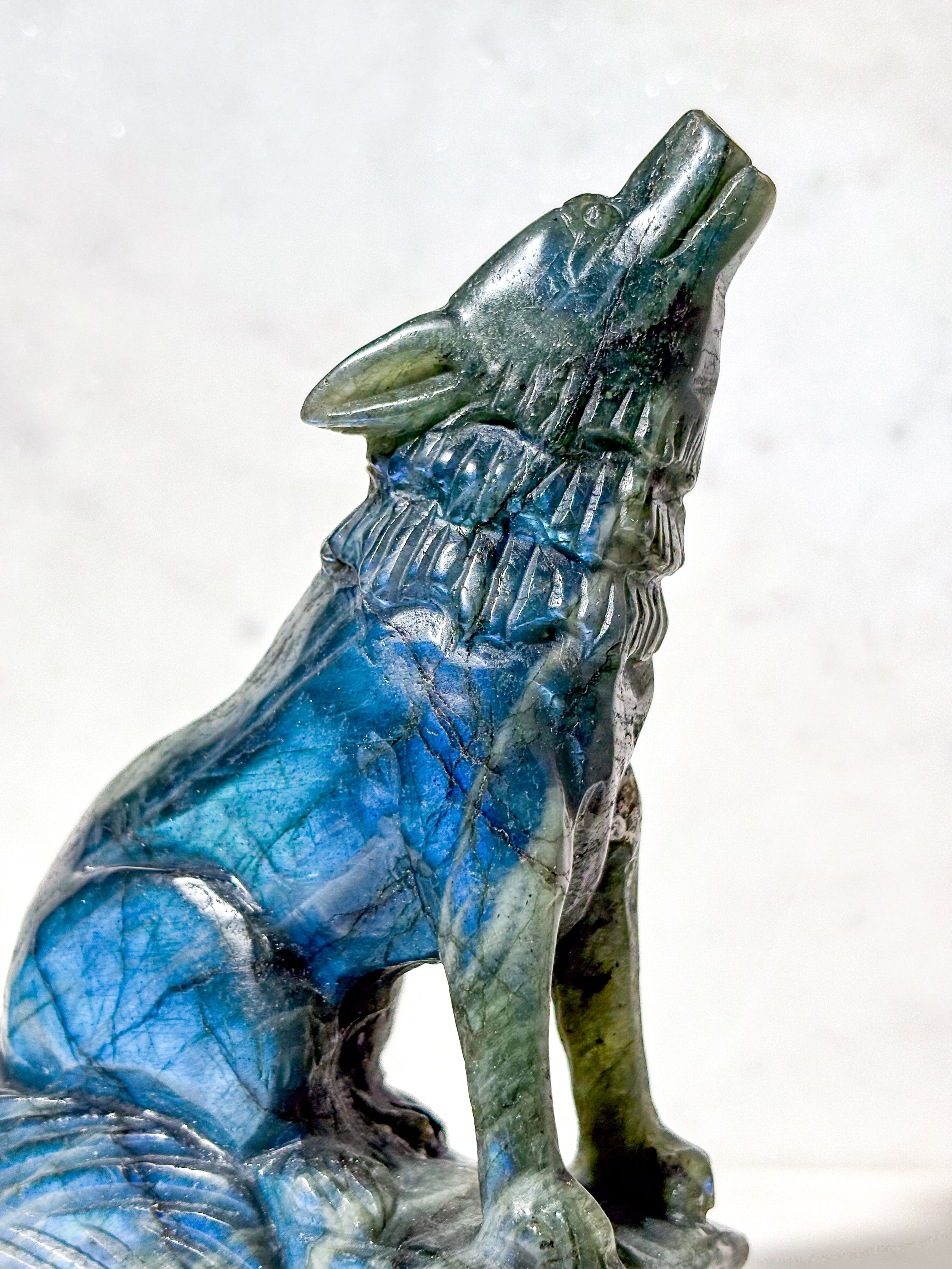 Labradorit Ulv (Nr. 9)