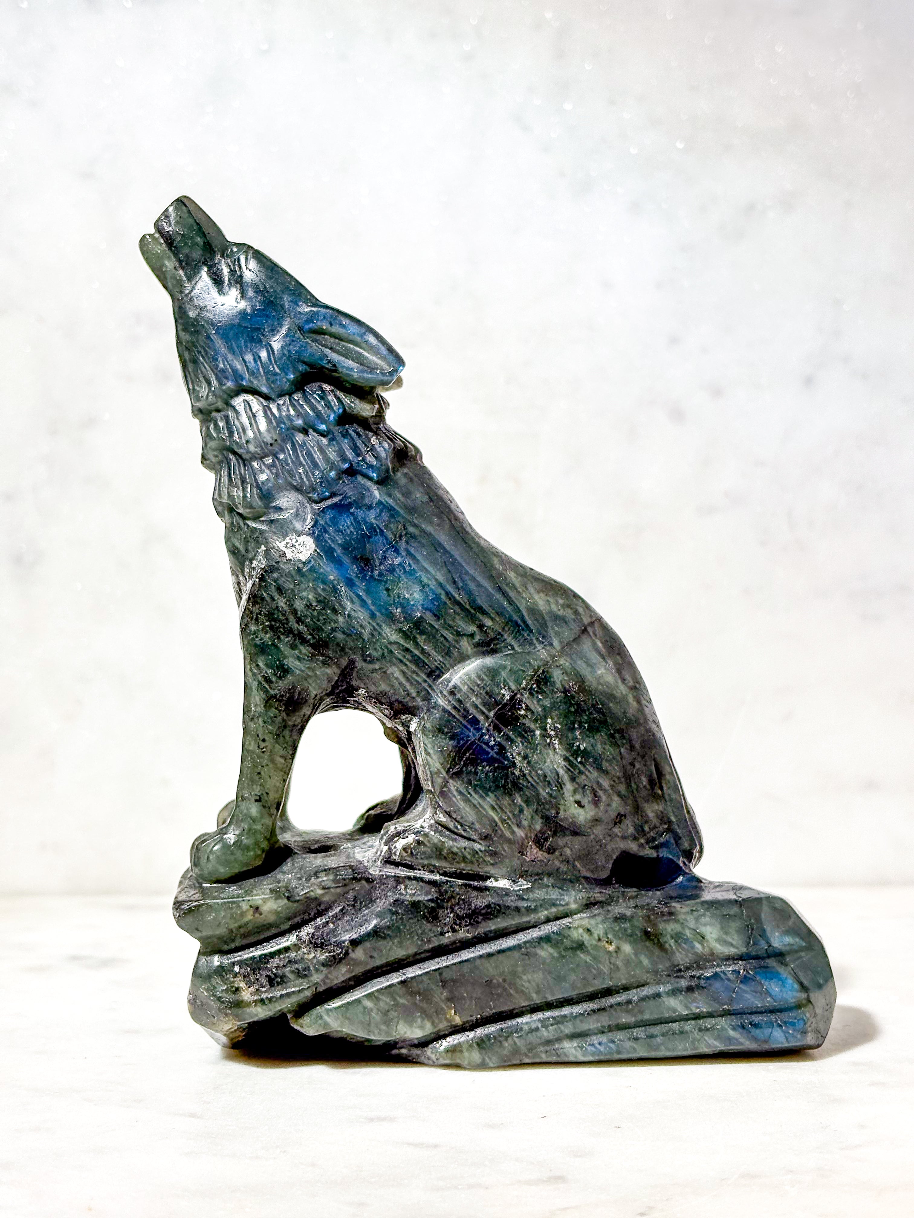 Labradorit Ulv (Nr. 9)