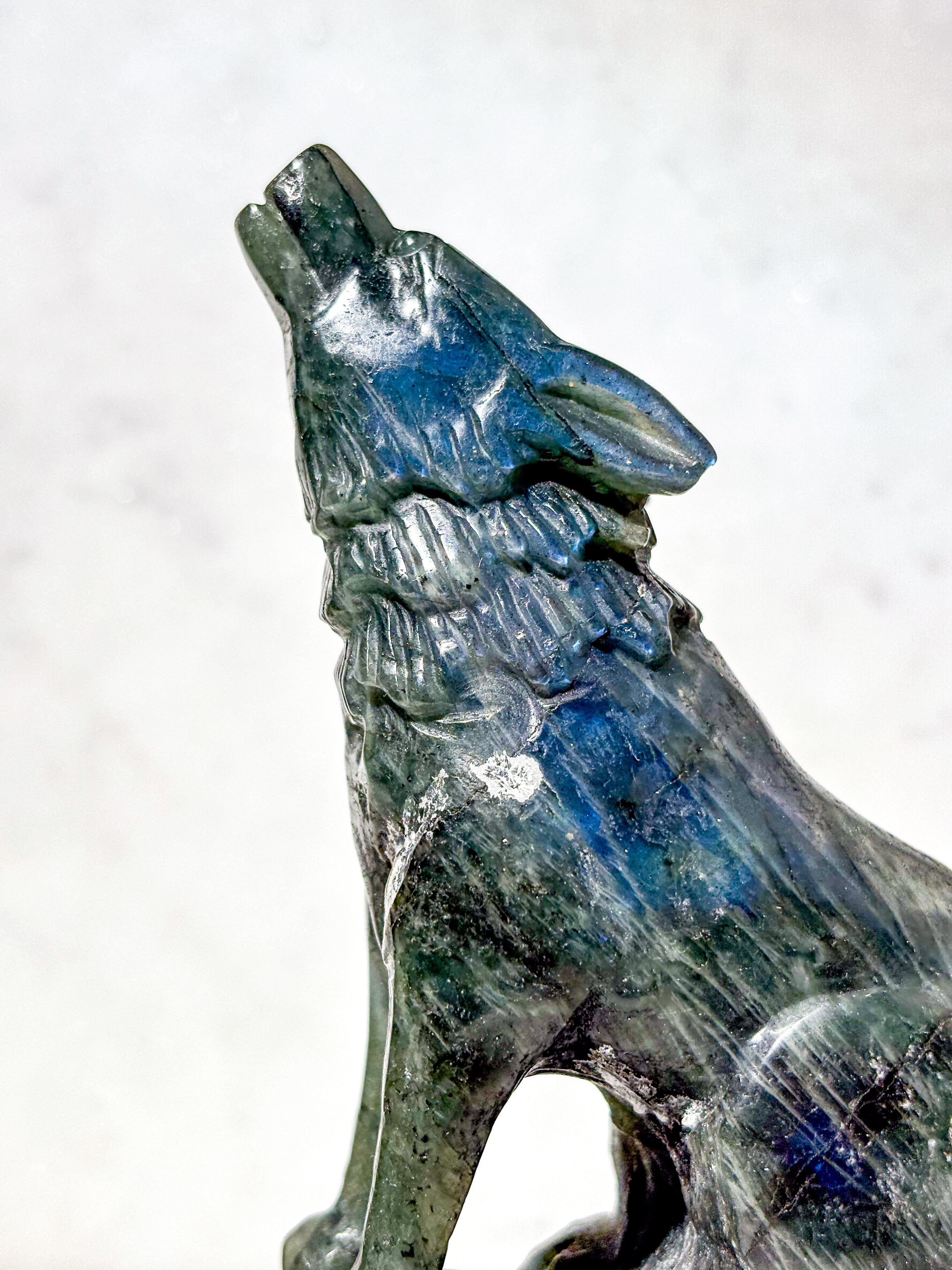 Labradorit Ulv (Nr. 9)