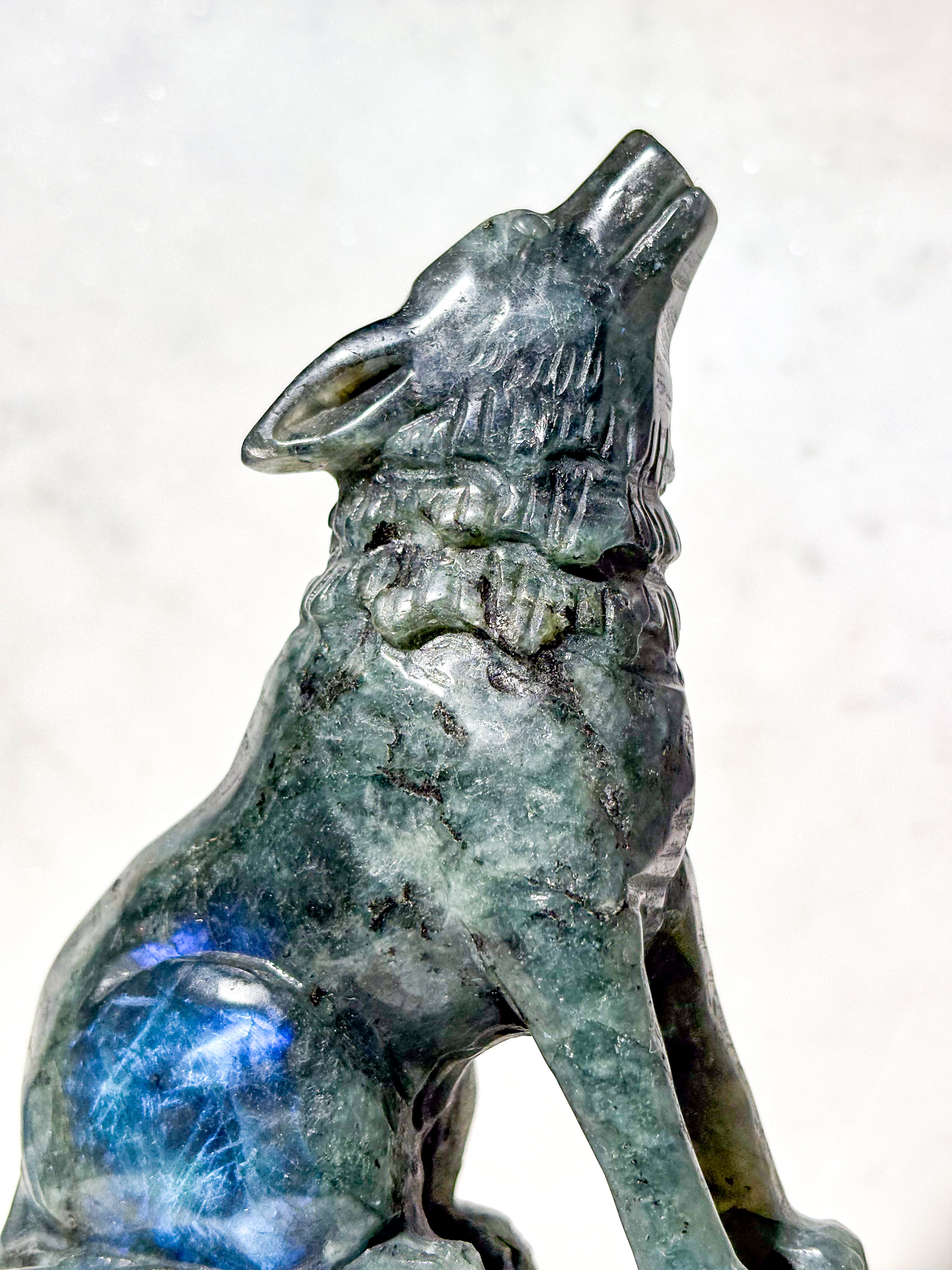 Labradorit Ulv (Nr. 10)