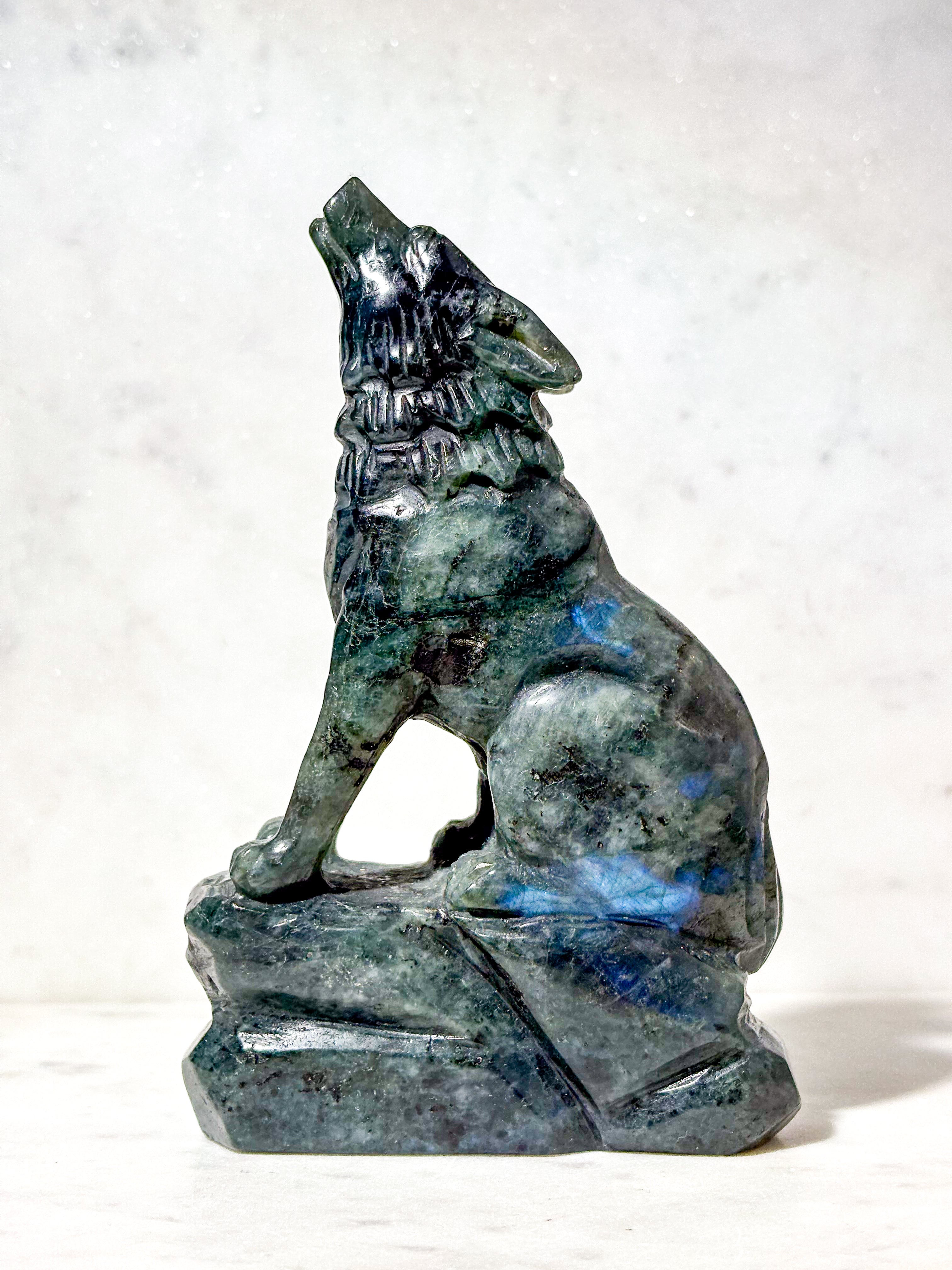 Labradorit Ulv (Nr. 10)