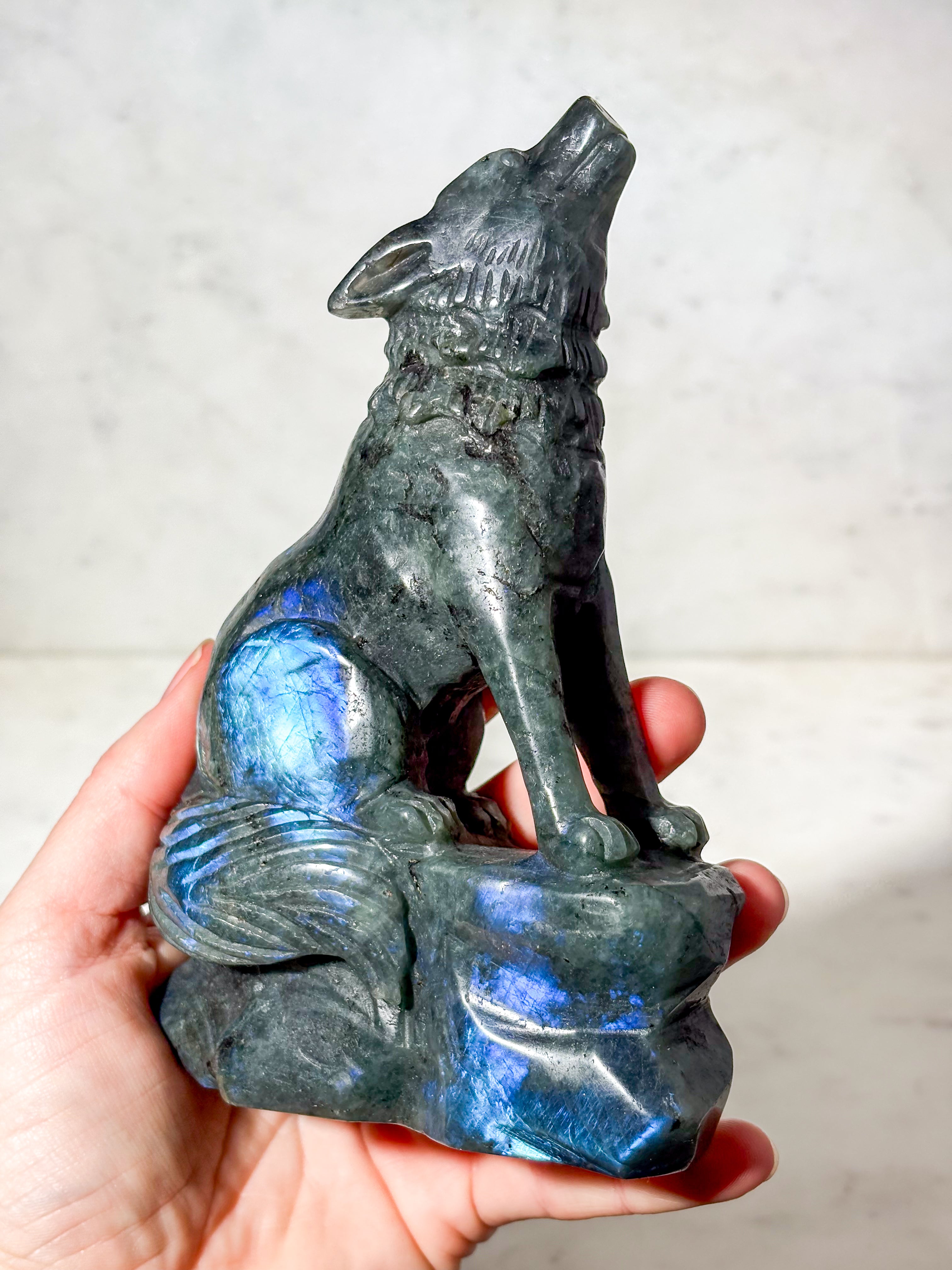 Labradorit Ulv (Nr. 10)