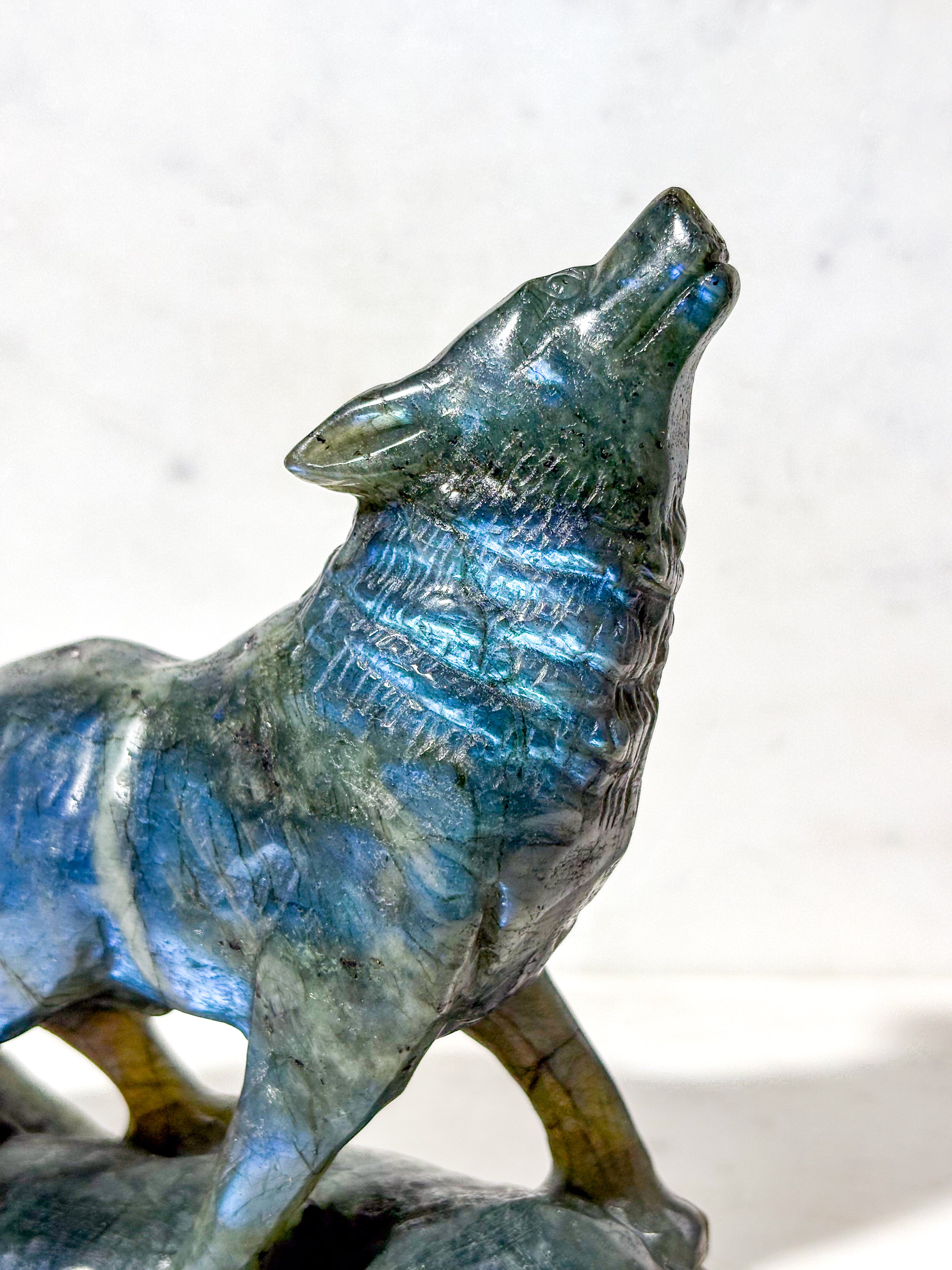 Labradorit Ulv (Nr. 11)