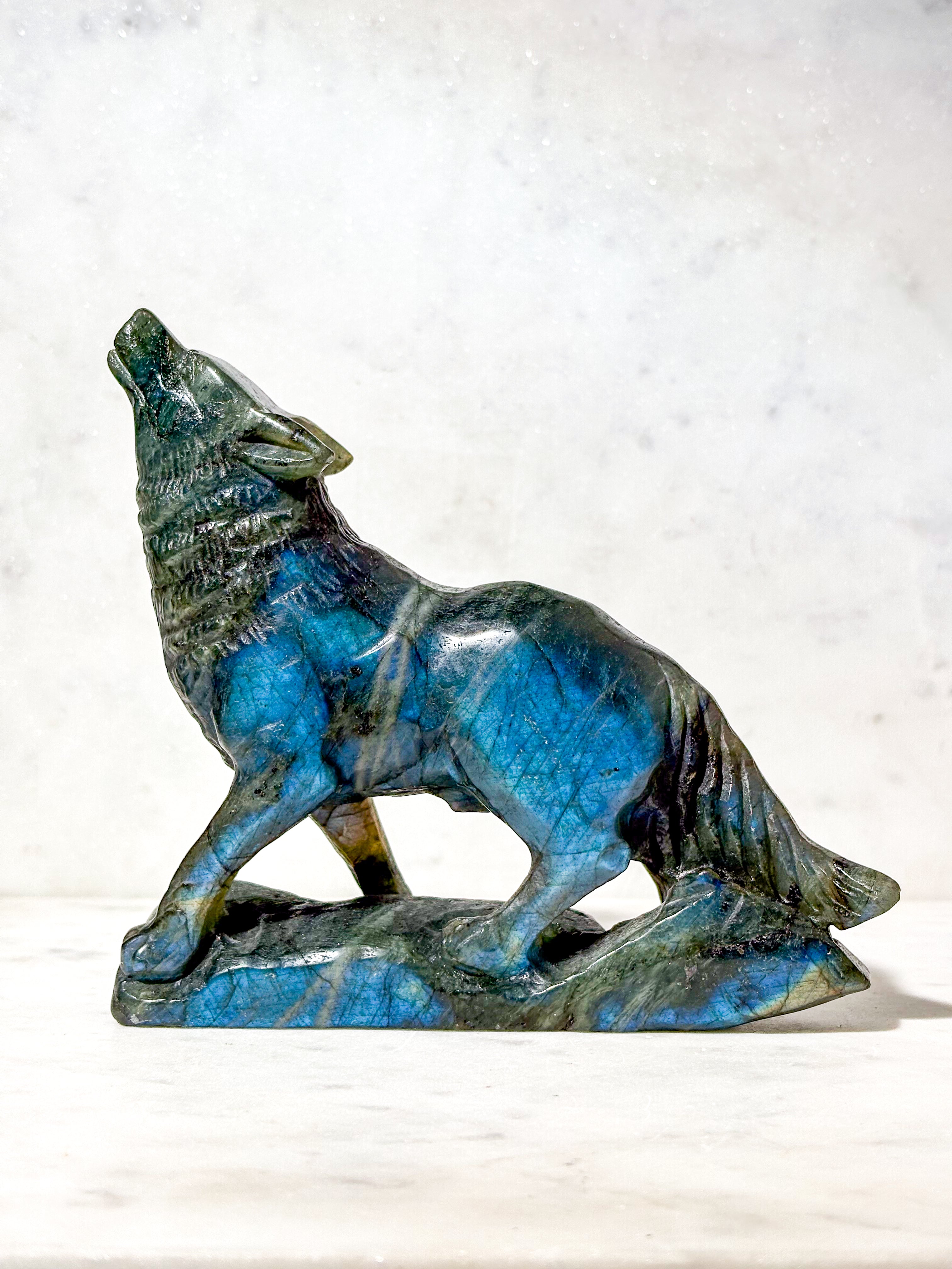 Labradorit Ulv (Nr. 11)