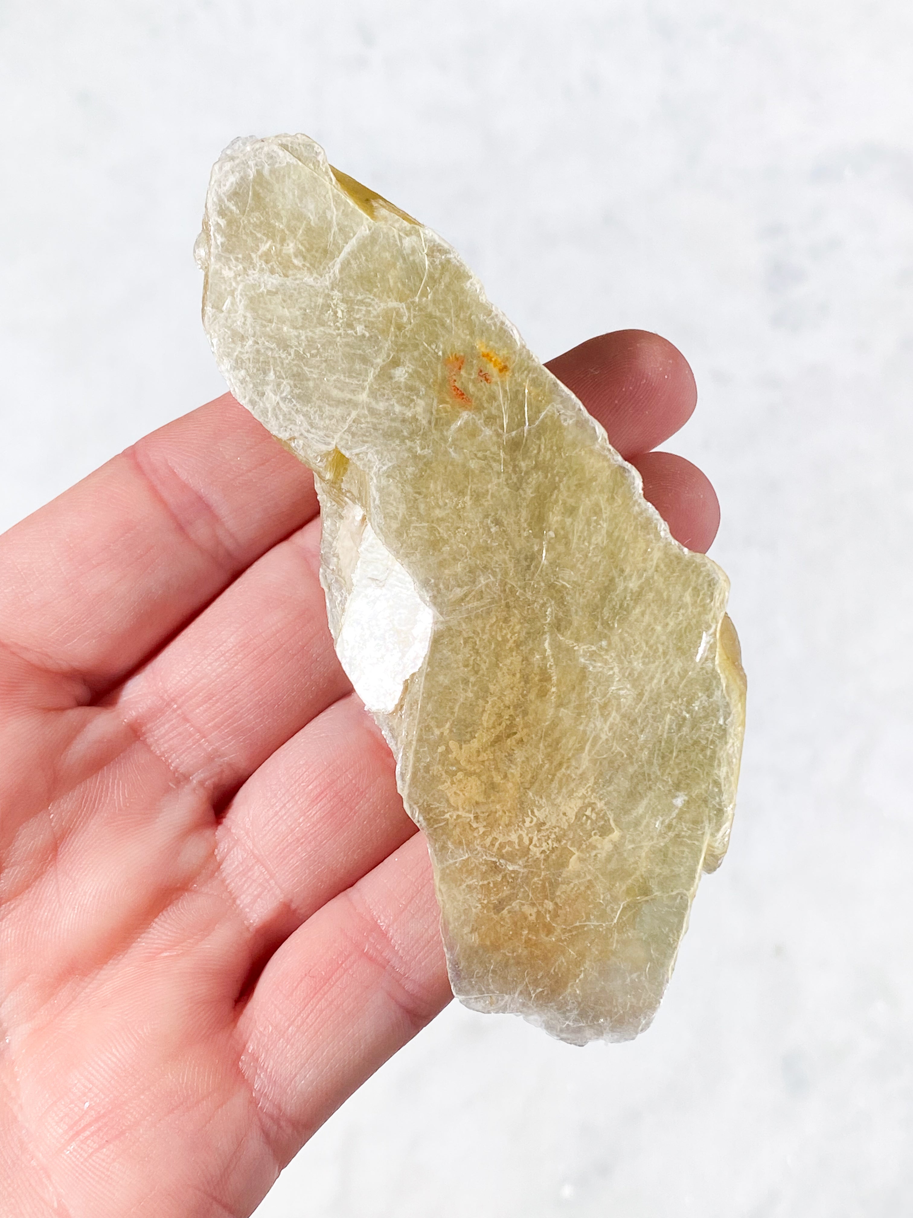 Gyllene glimmerrå (nr 11)