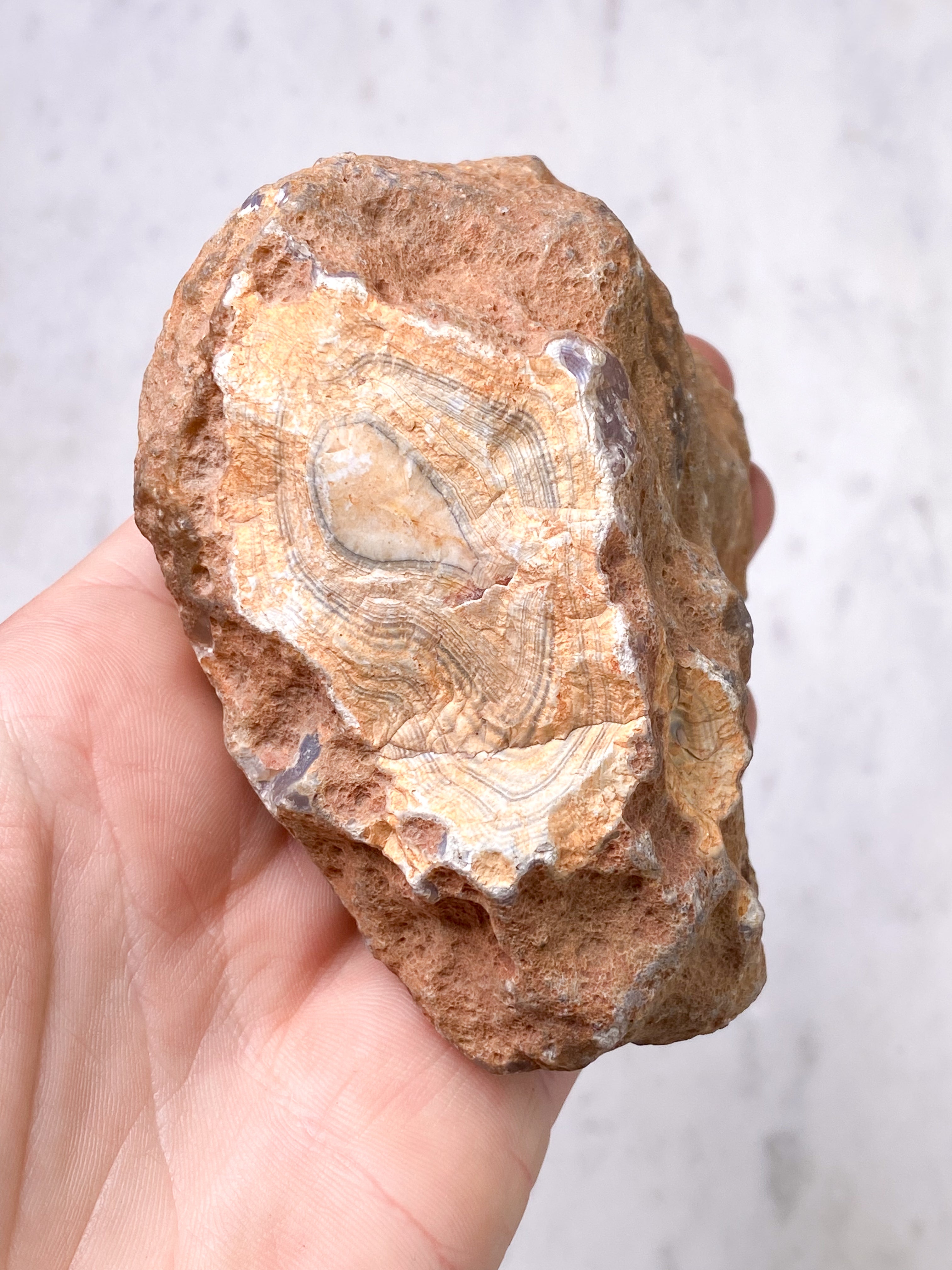 Zimbabwe Agat (nr 37)