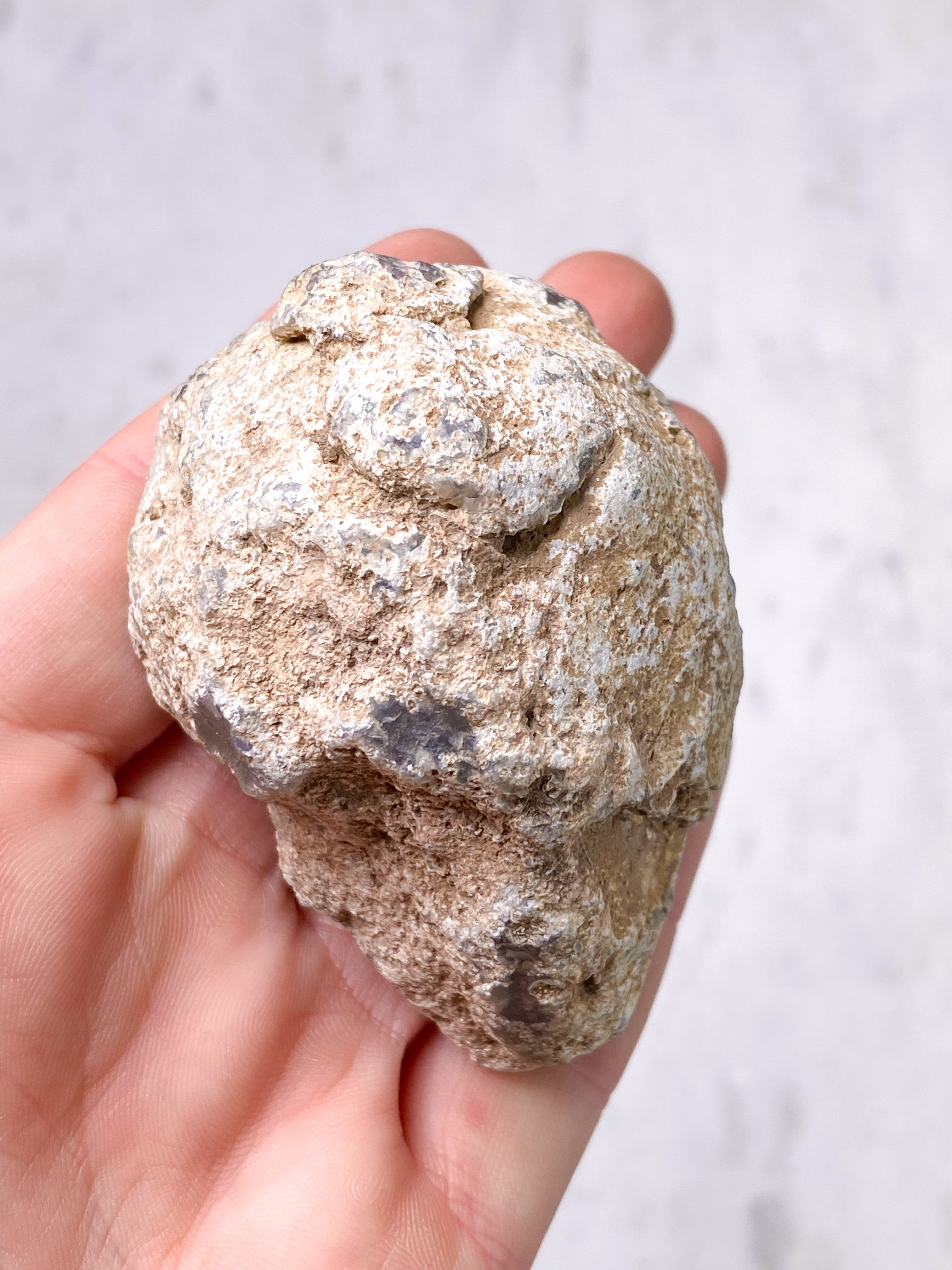 Zimbabwe Agat (nr 42)