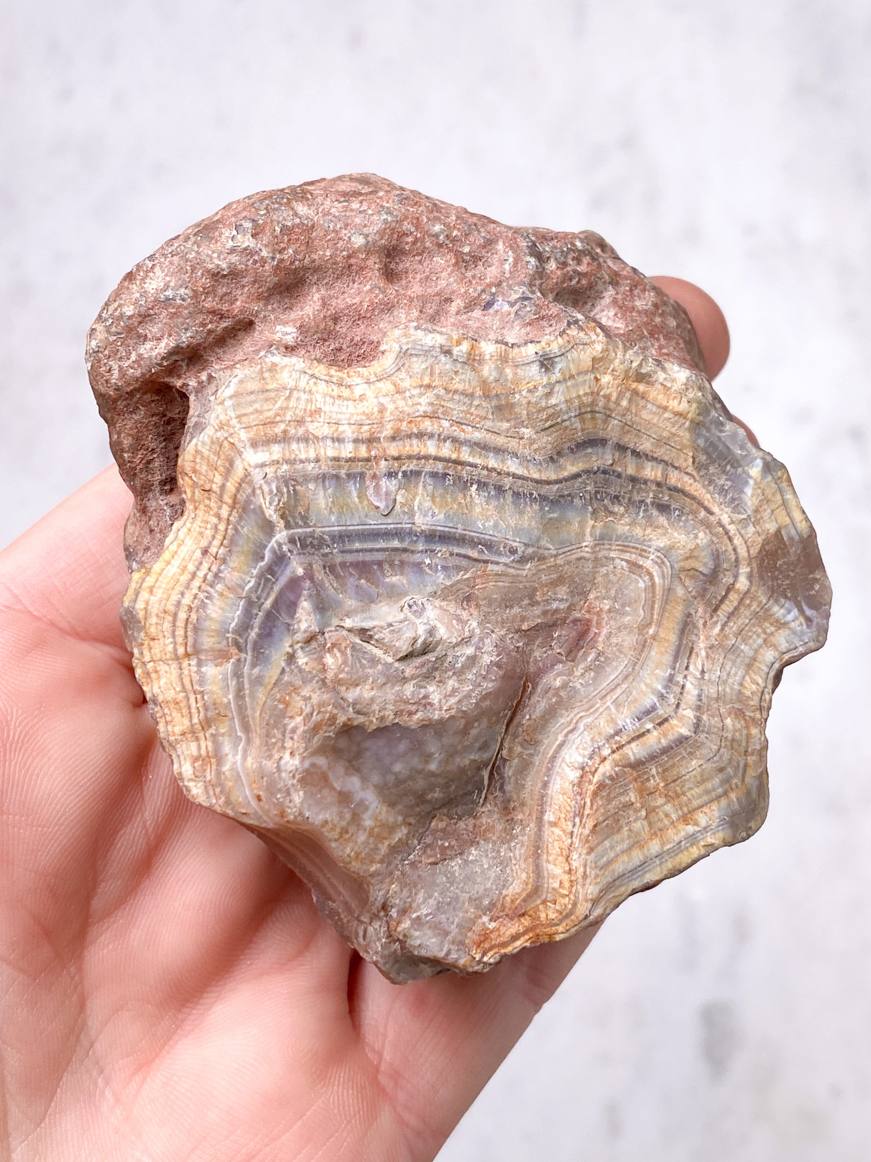 Zimbabwe Agat (nr 43)