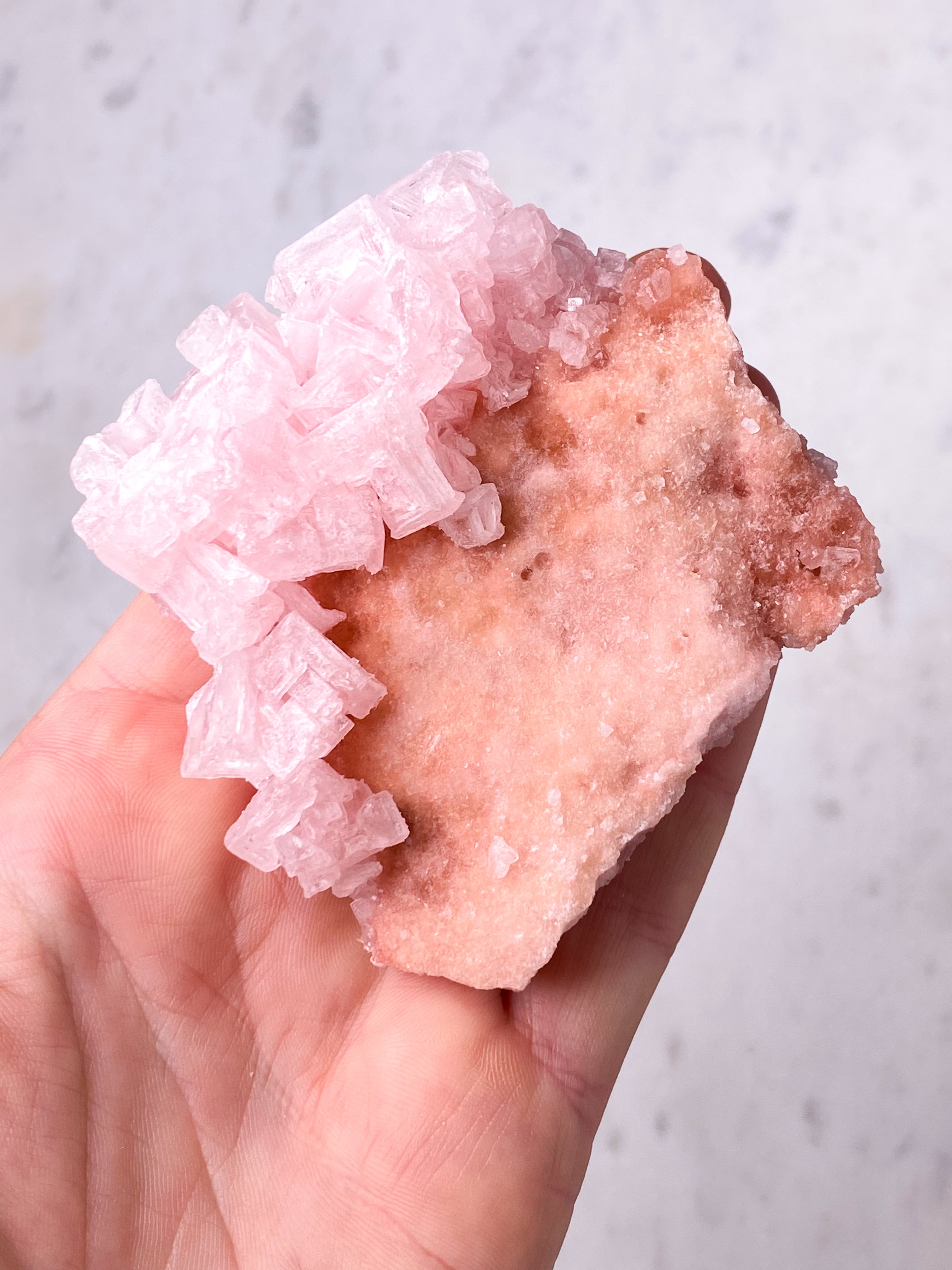 Rosa Halit (nr 34) Exklusiv kvalitet