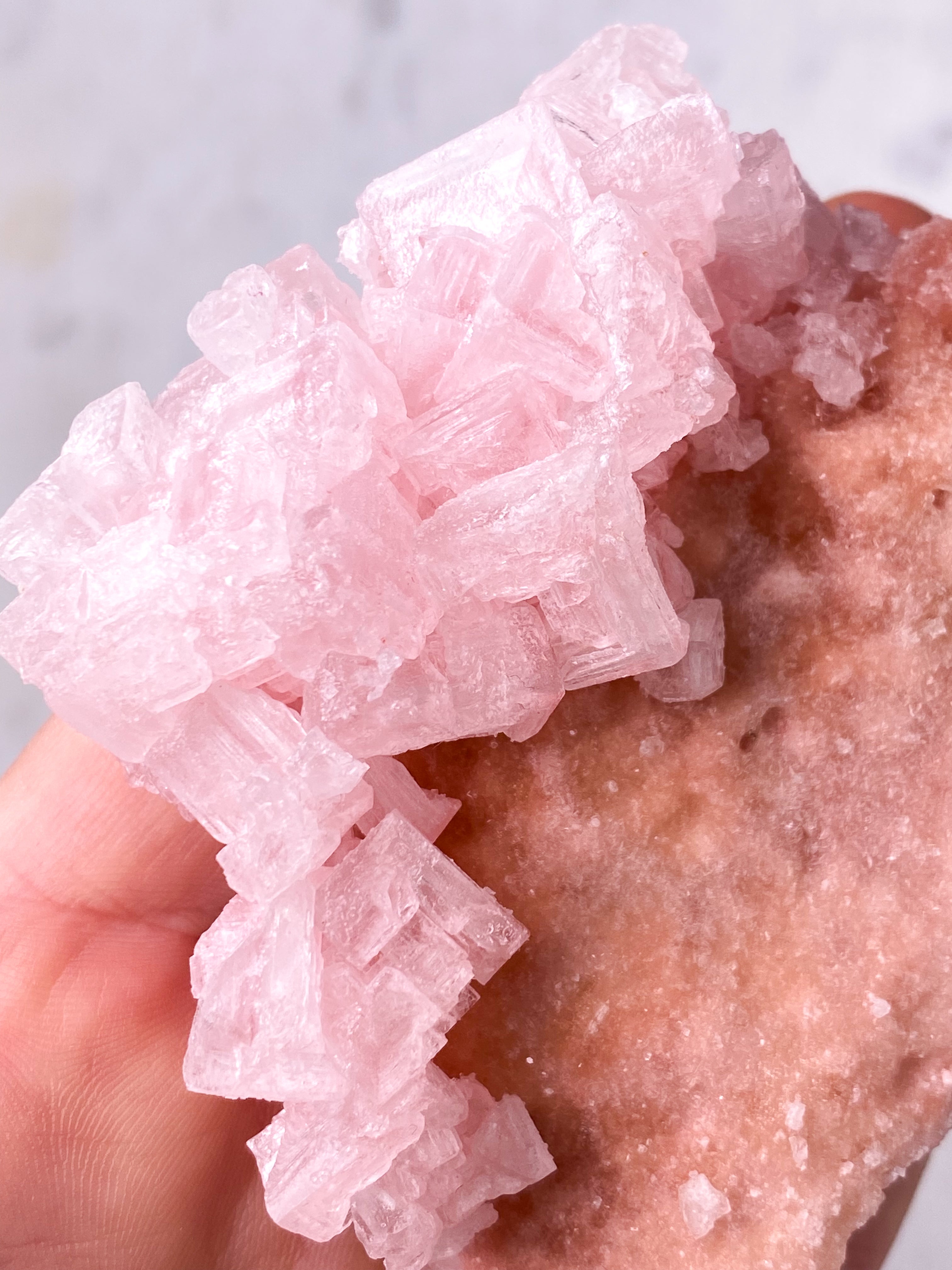 Rosa Halit (nr 34) Exklusiv kvalitet